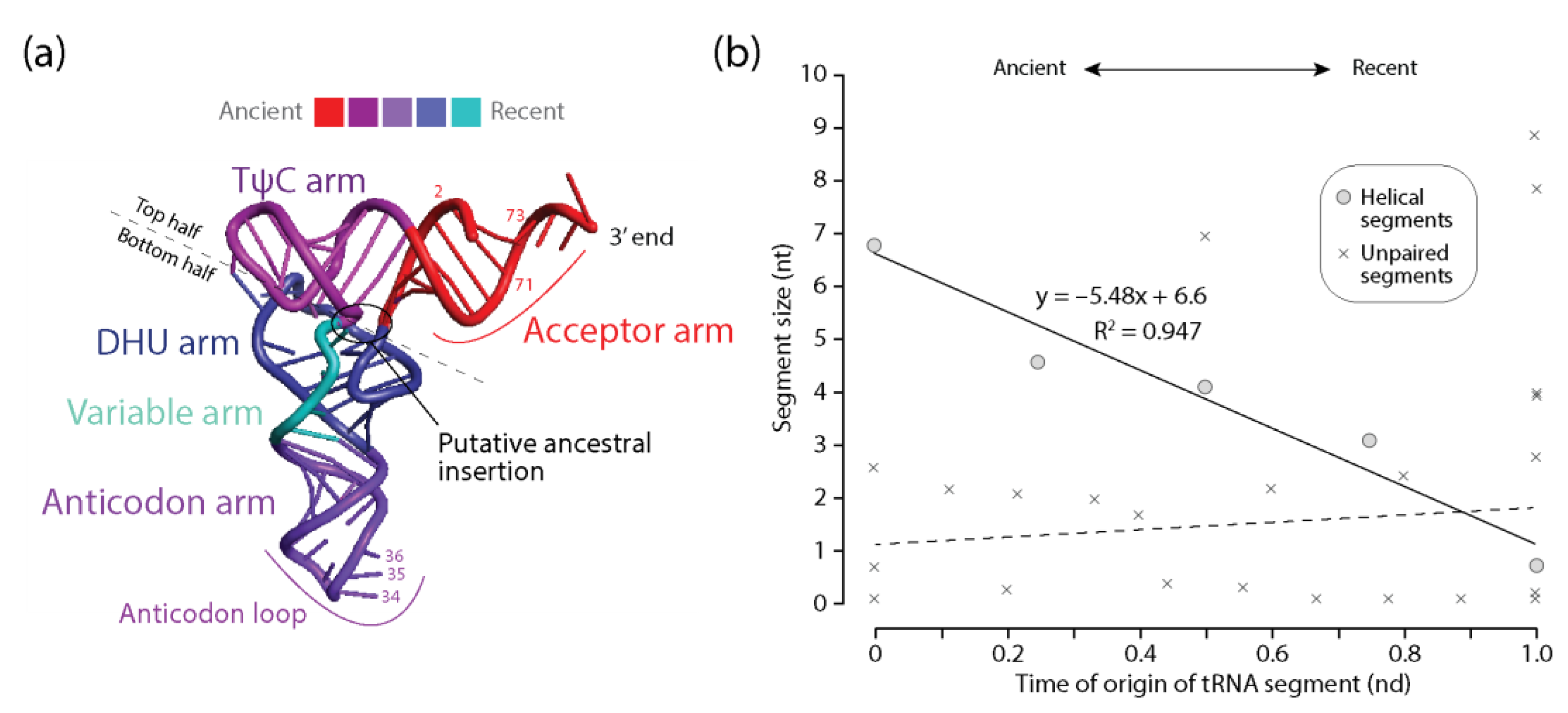 Life 11 00489 g003 Life 11 00489 g003