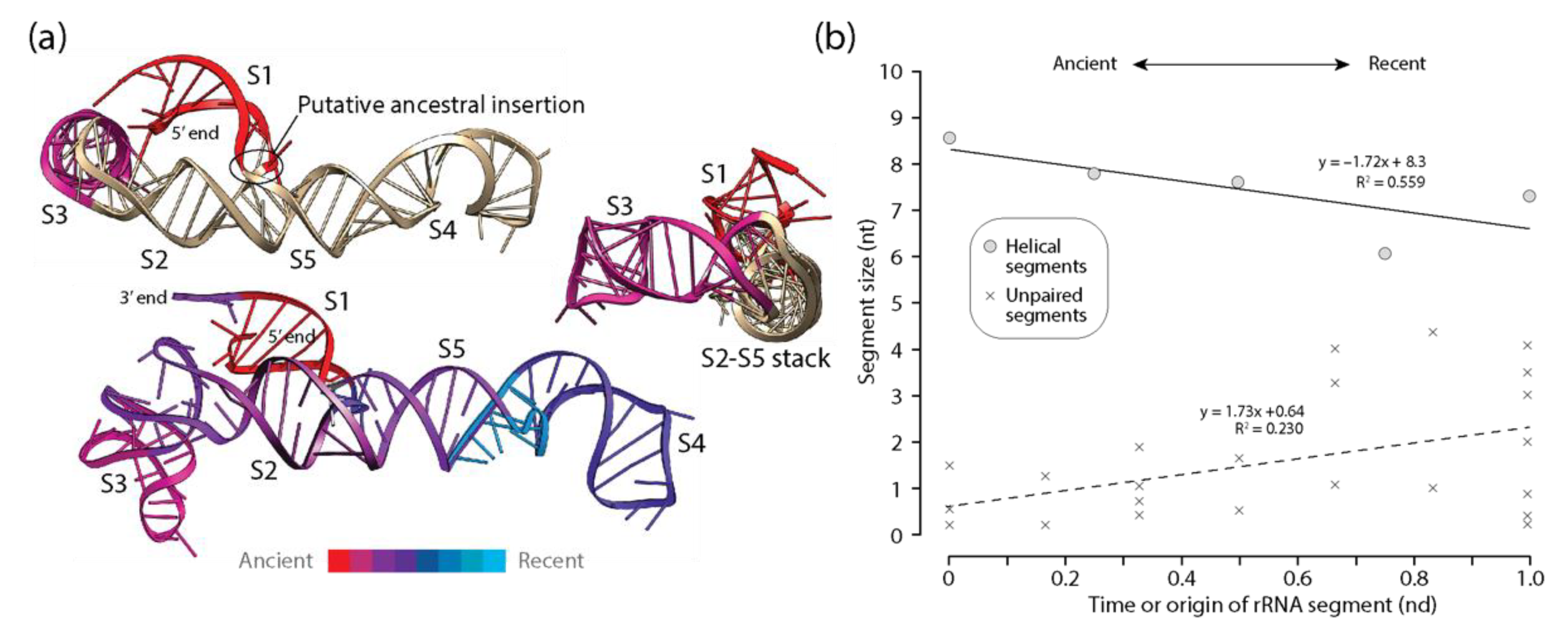 Life 11 00489 g004 Life 11 00489 g004