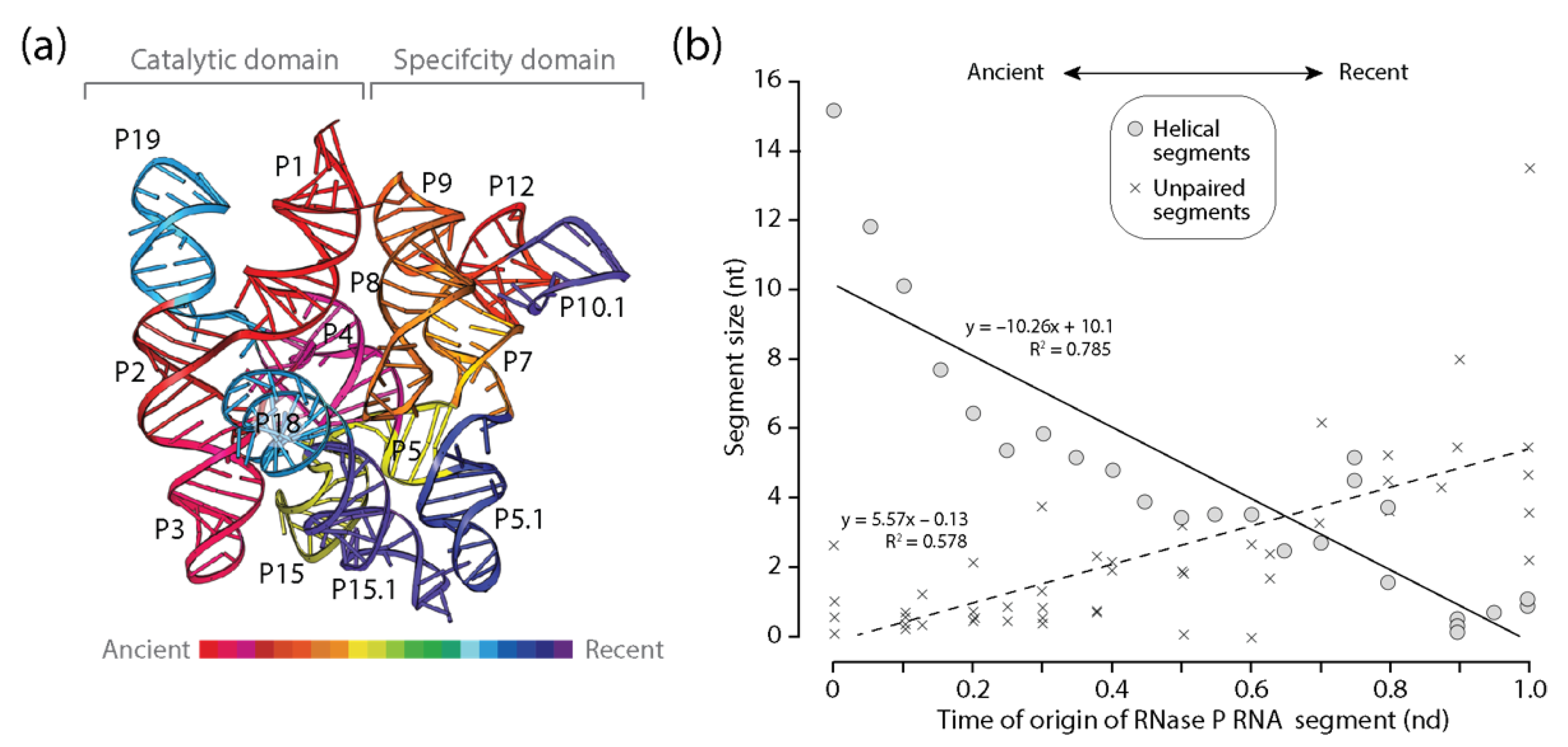 Life 11 00489 g005 Life 11 00489 g005