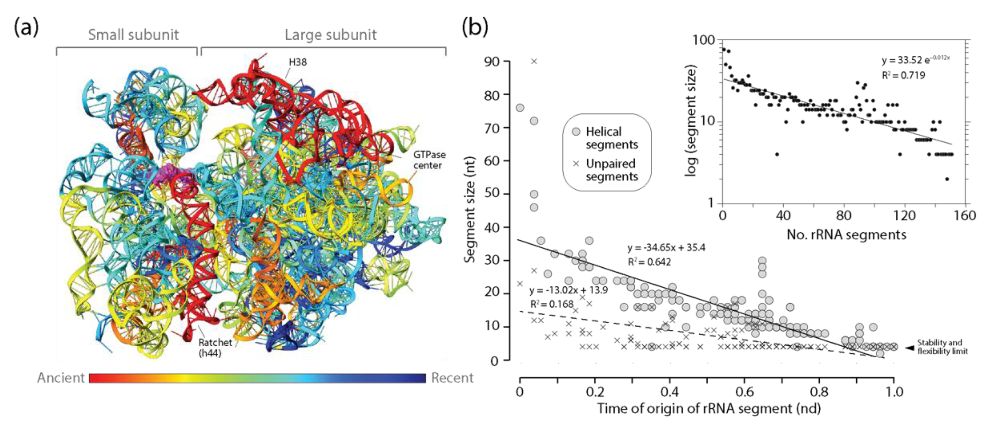 Life 11 00489 g006 Life 11 00489 g006