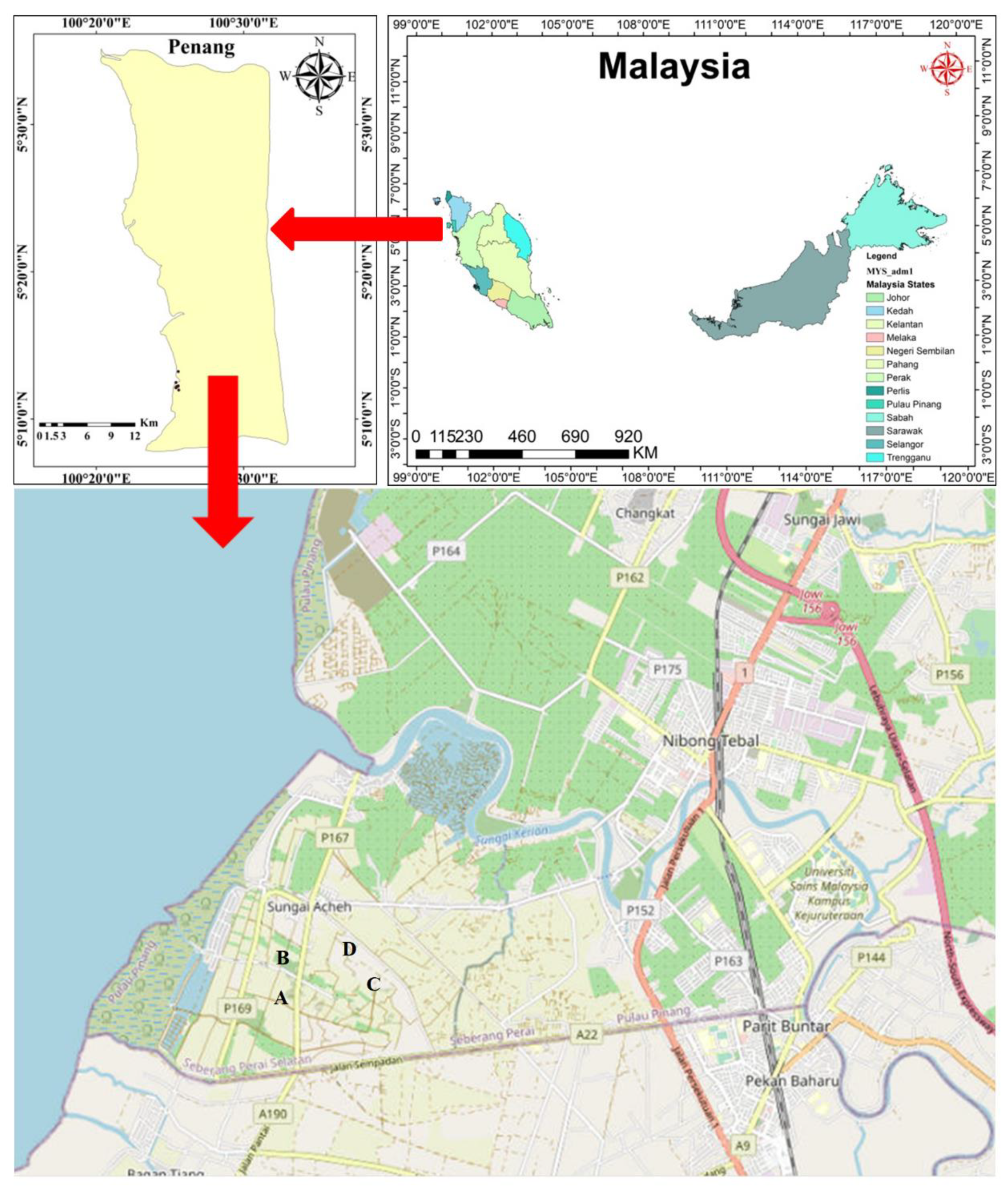 Life 11 00493 g001 Life 11 00493 g001