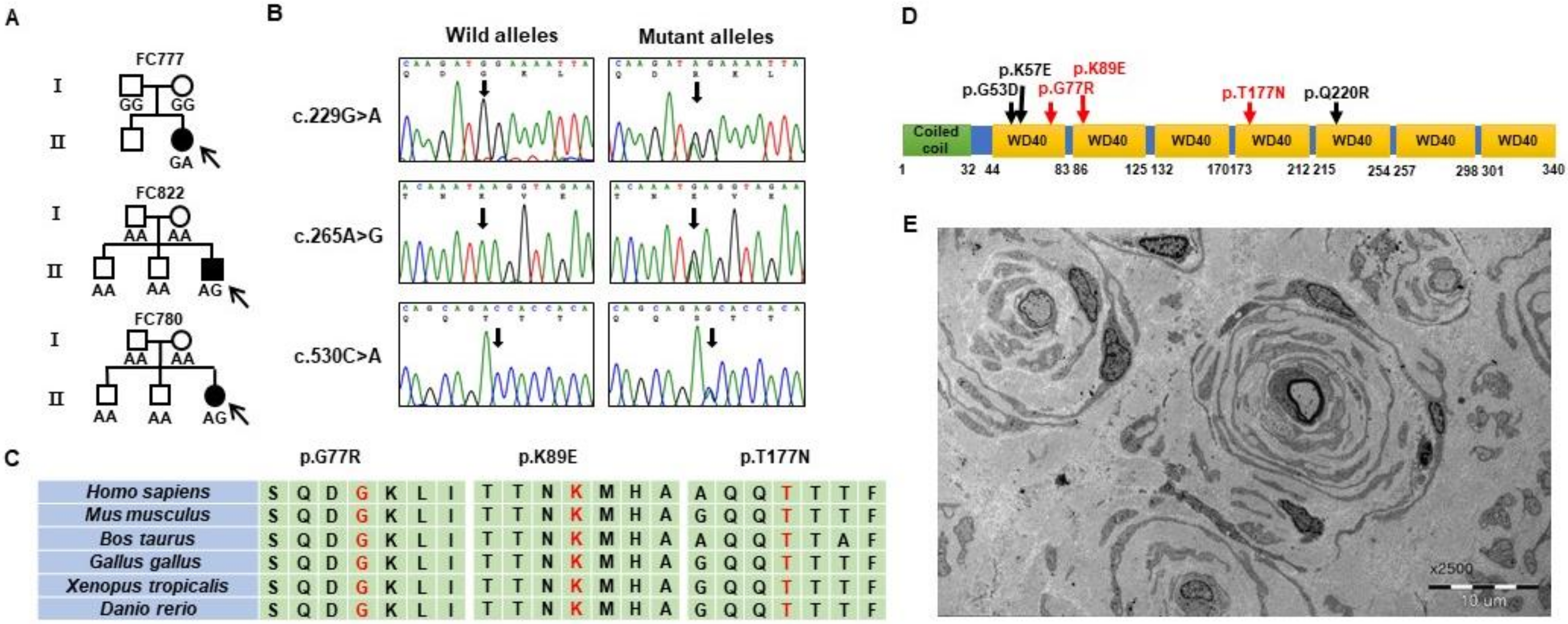 Life 11 00494 g001 Life 11 00494 g001
