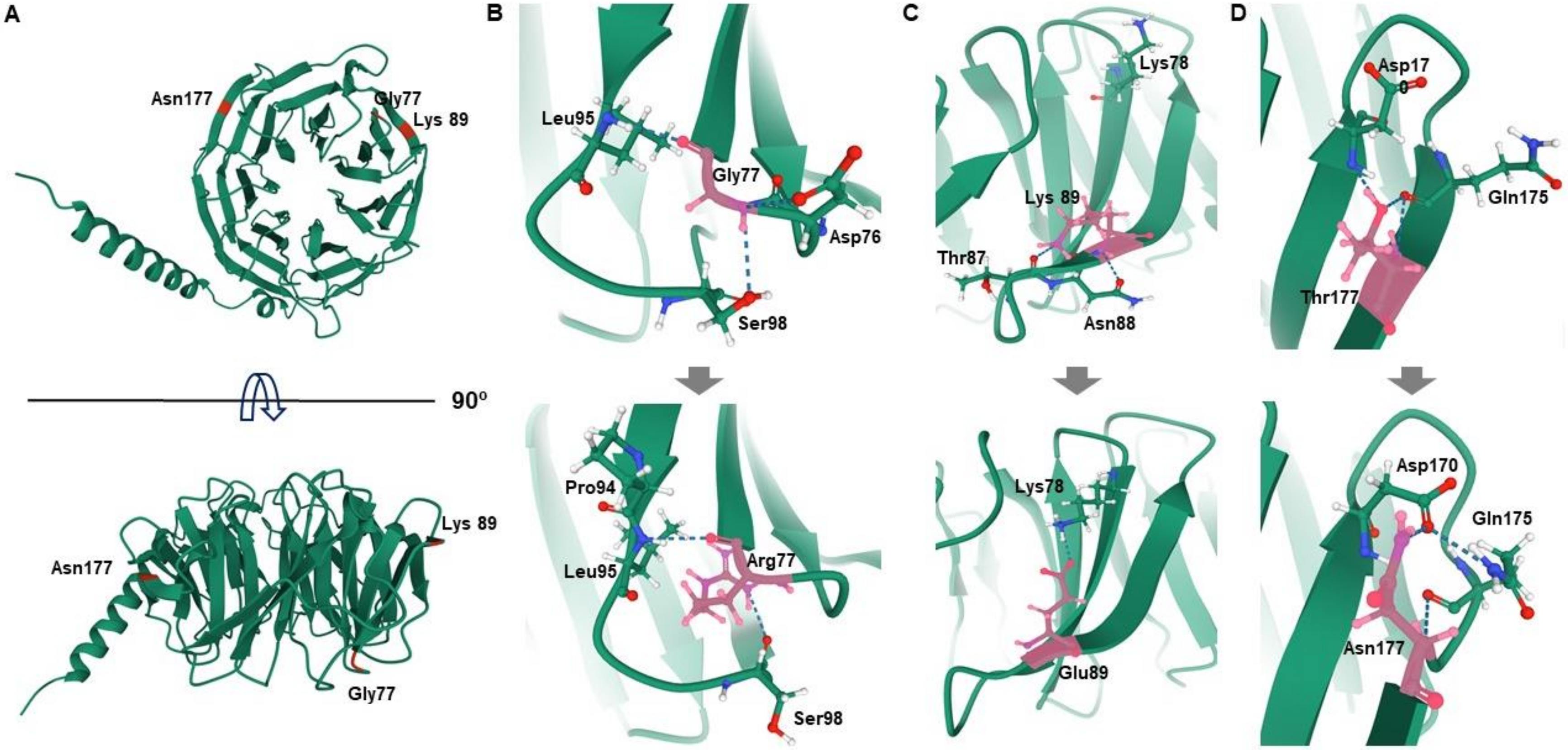 Life 11 00494 g002 Life 11 00494 g002