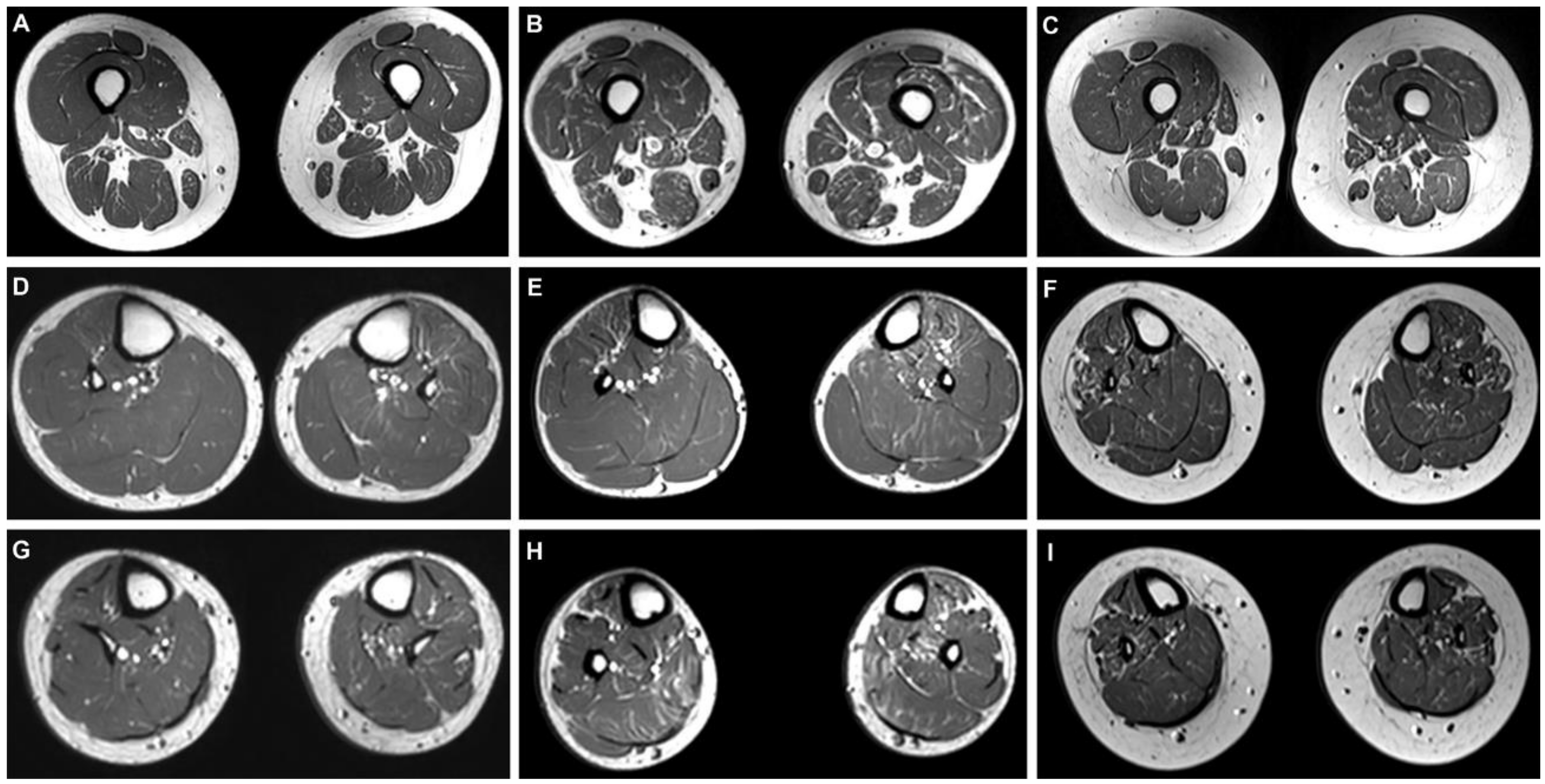 Life 11 00494 g003 Life 11 00494 g003
