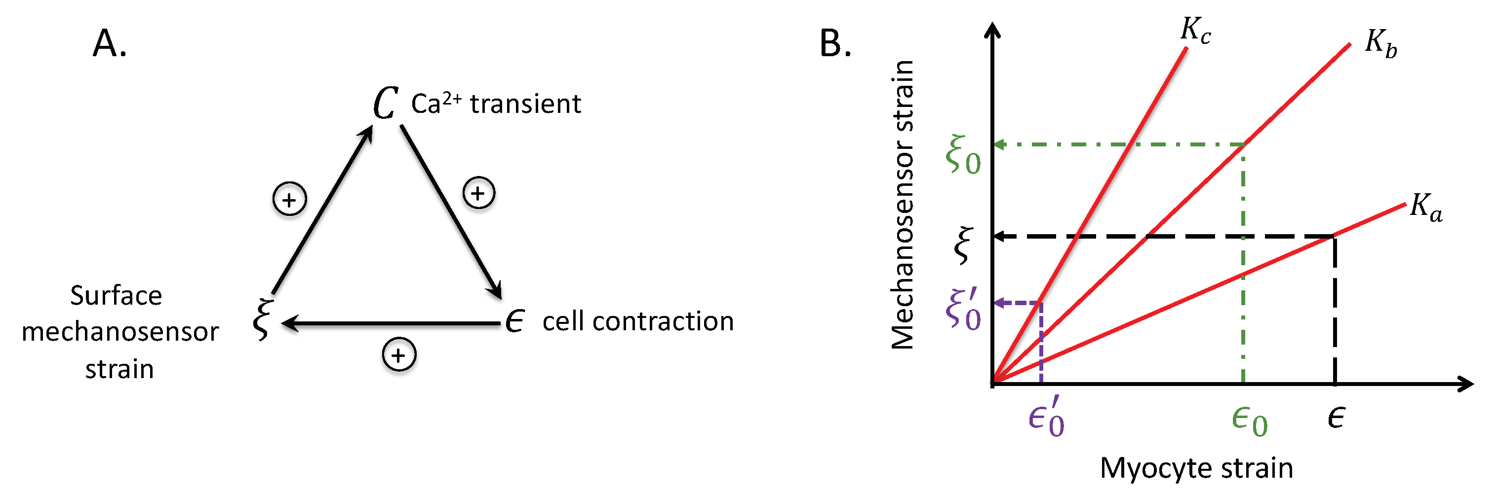 Life 11 00503 g006 Life 11 00503 g006