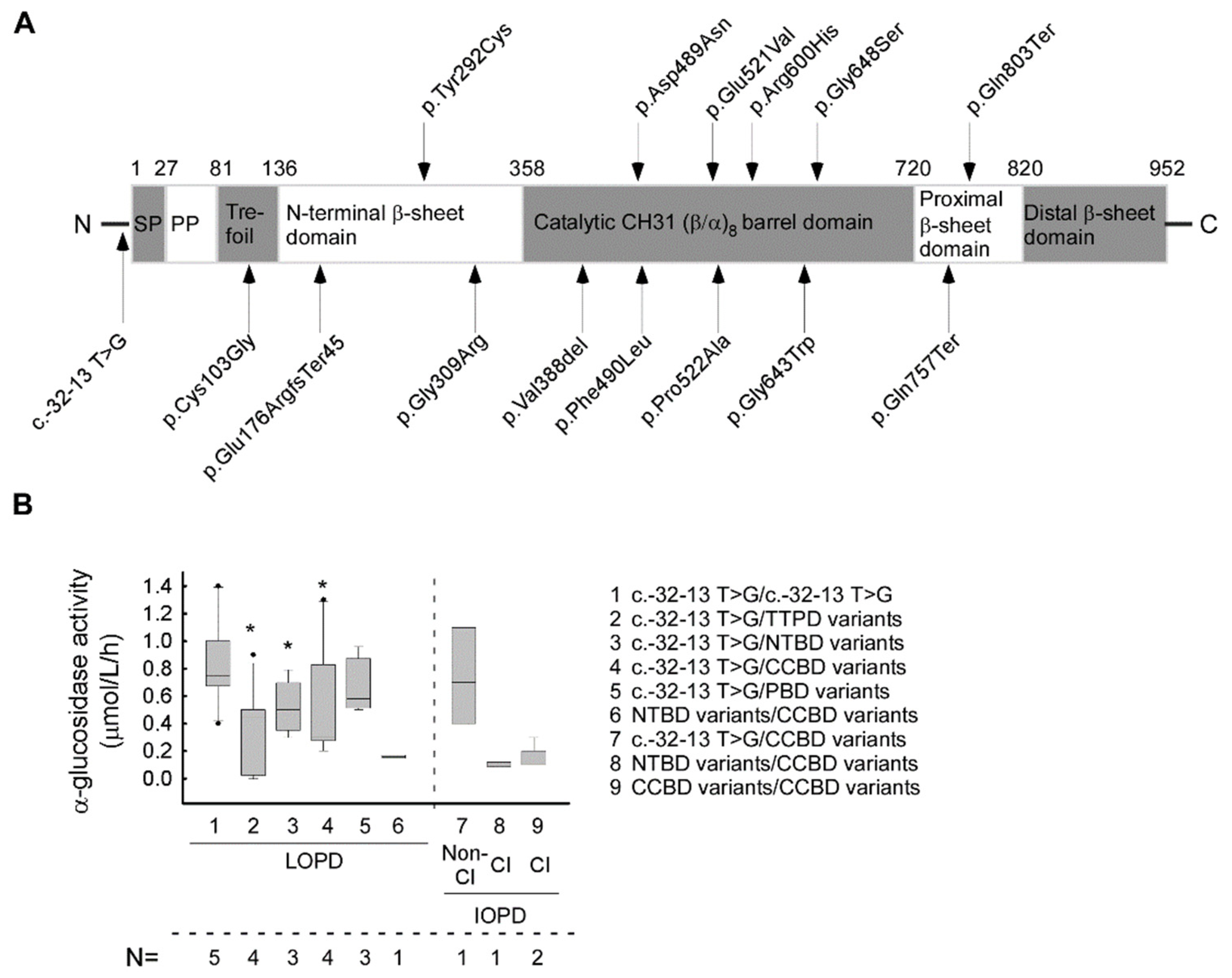 Life 11 00507 g002 Life 11 00507 g002