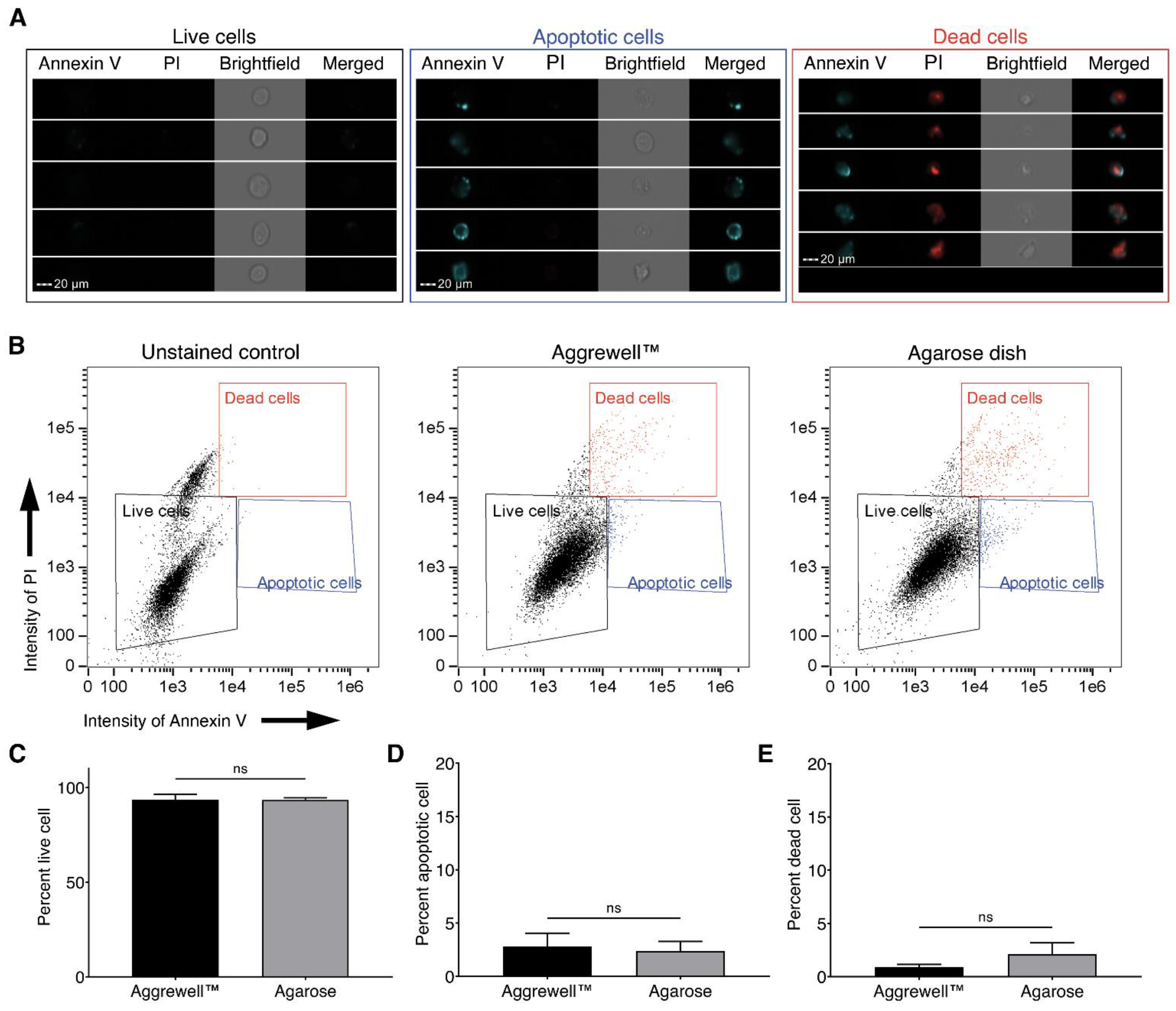 Life 11 00517 g004 Life 11 00517 g004