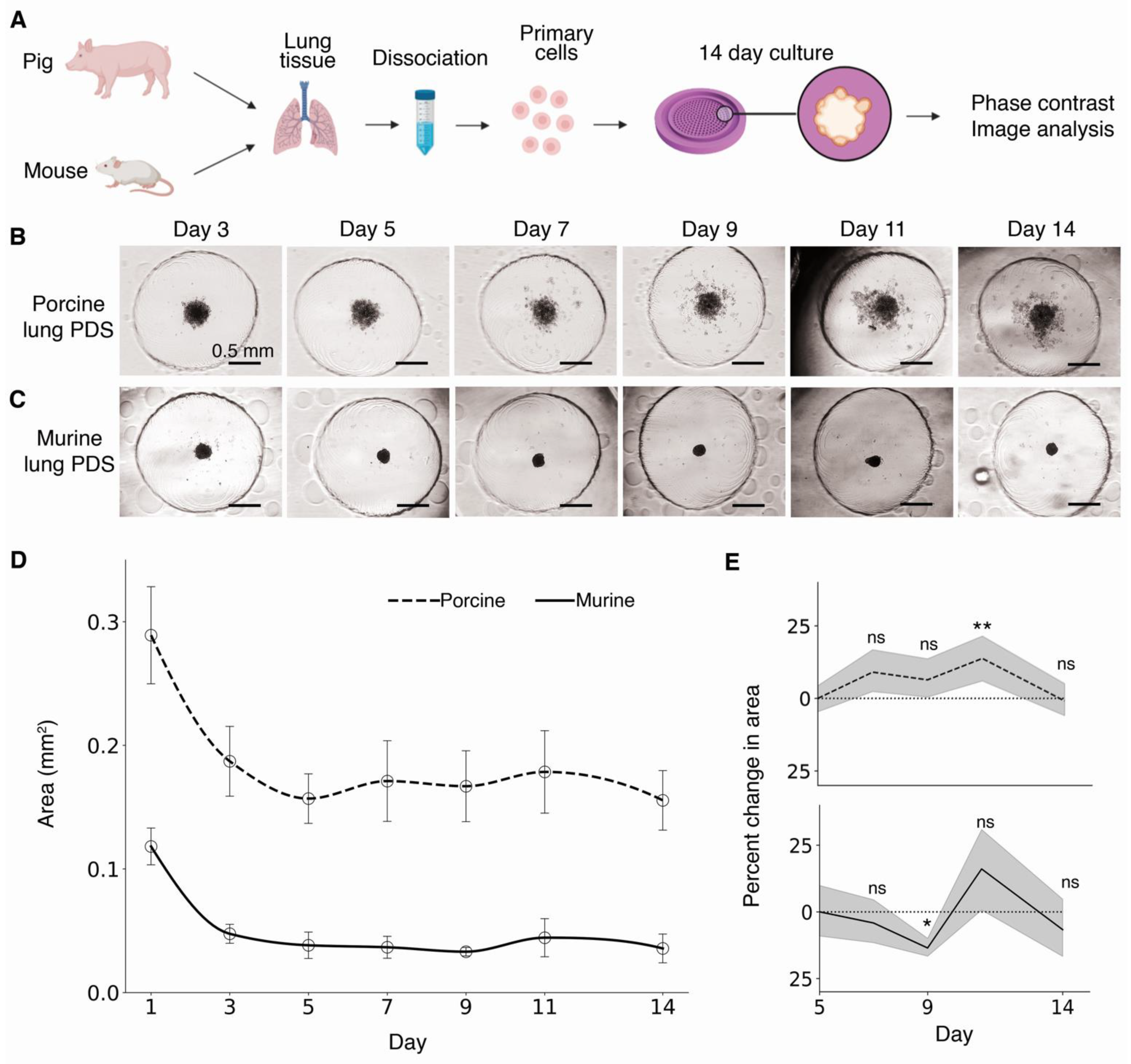 Life 11 00517 g006 Life 11 00517 g006