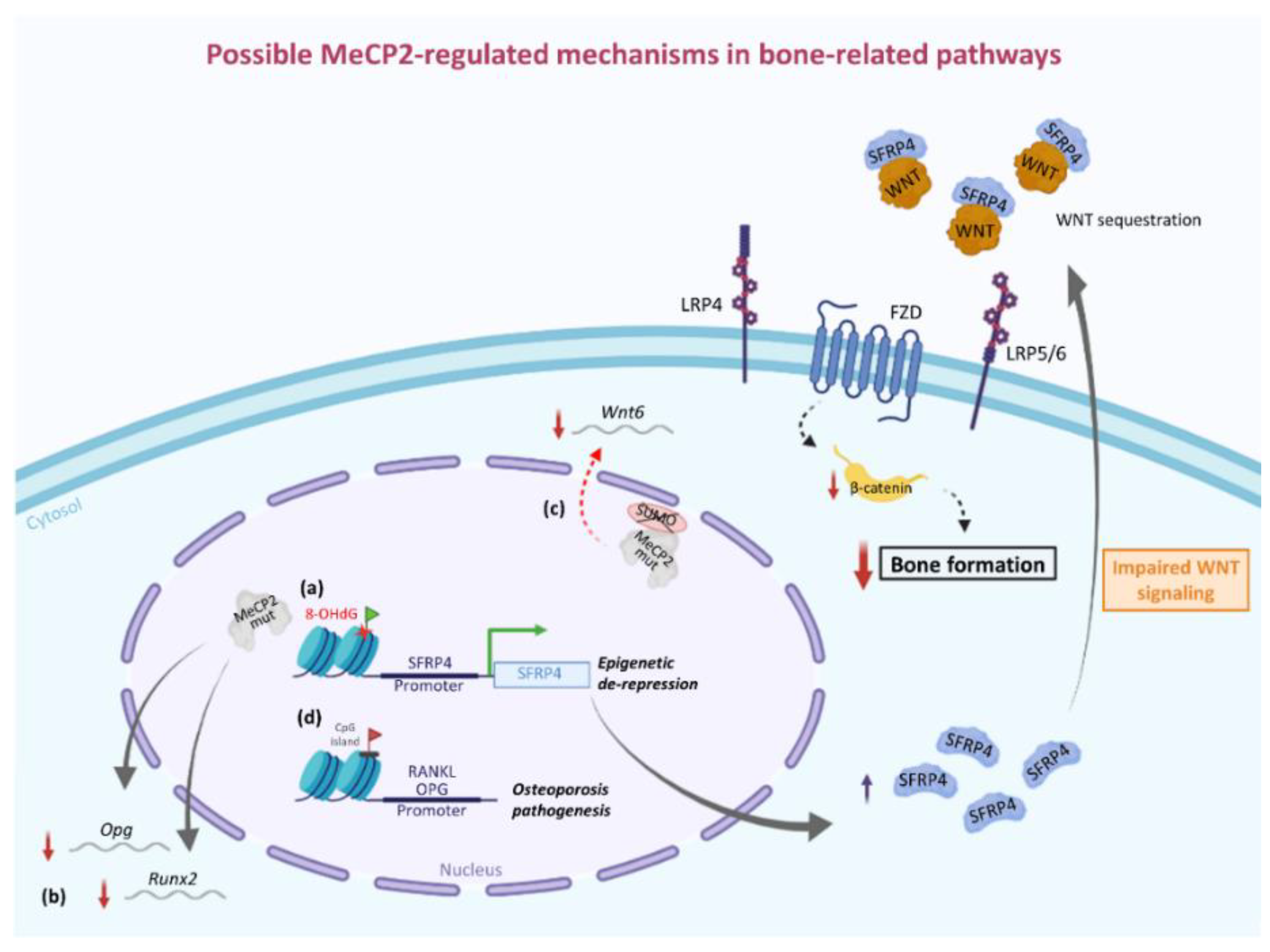 Life 11 00521 g001 Life 11 00521 g001