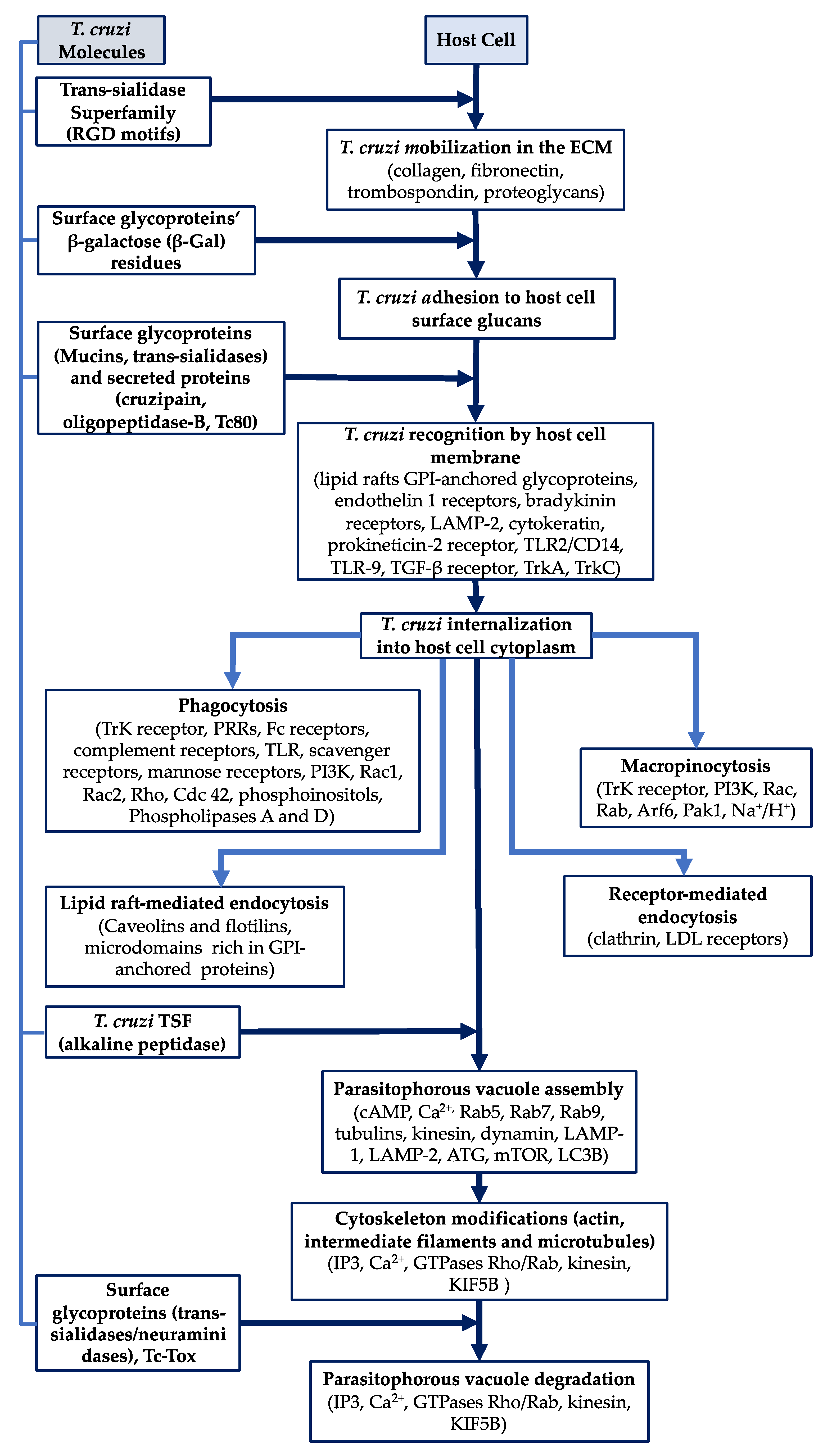 Life 11 00534 g002 Life 11 00534 g002