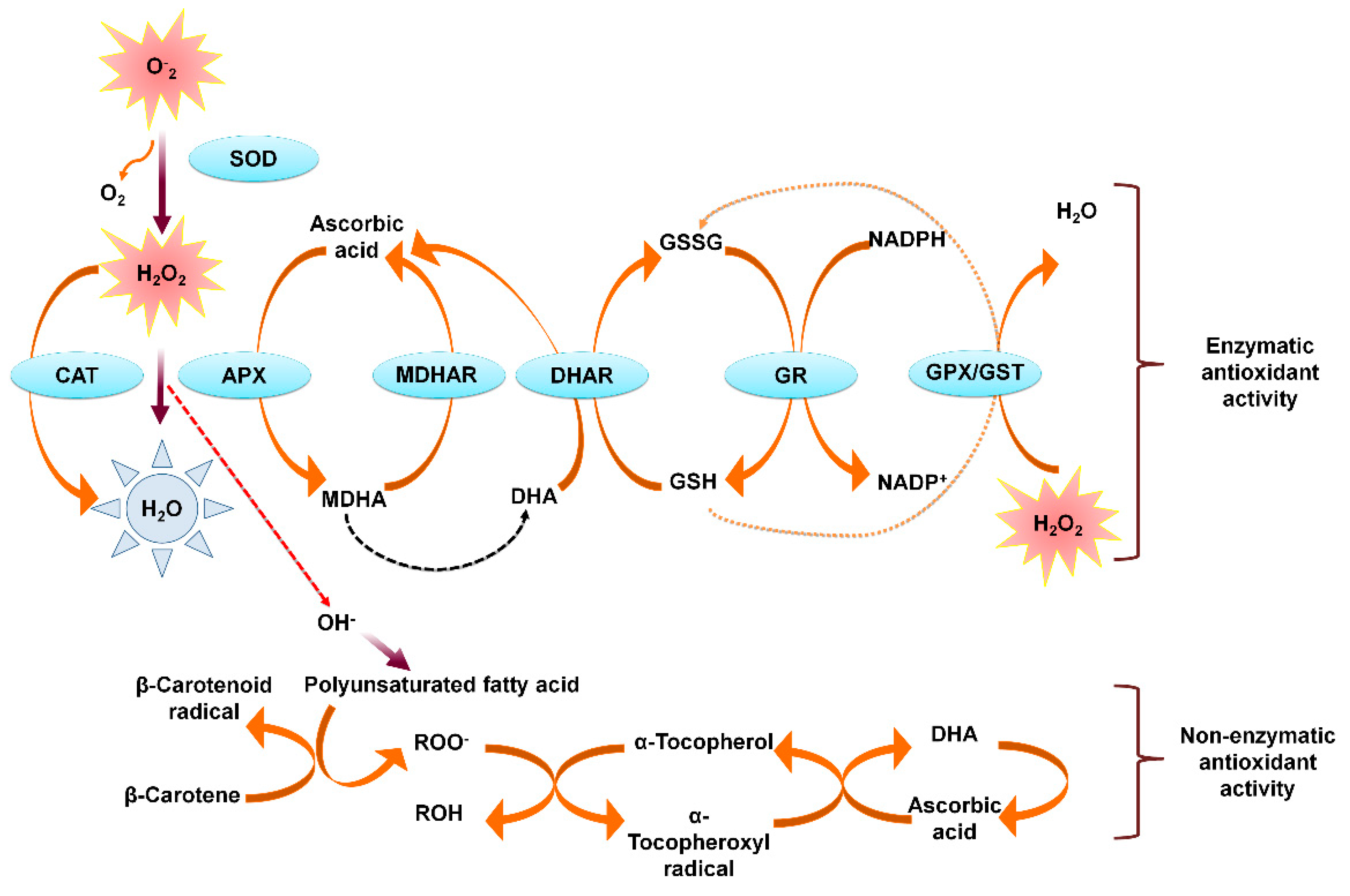 Life 11 00545 g003 Life 11 00545 g003
