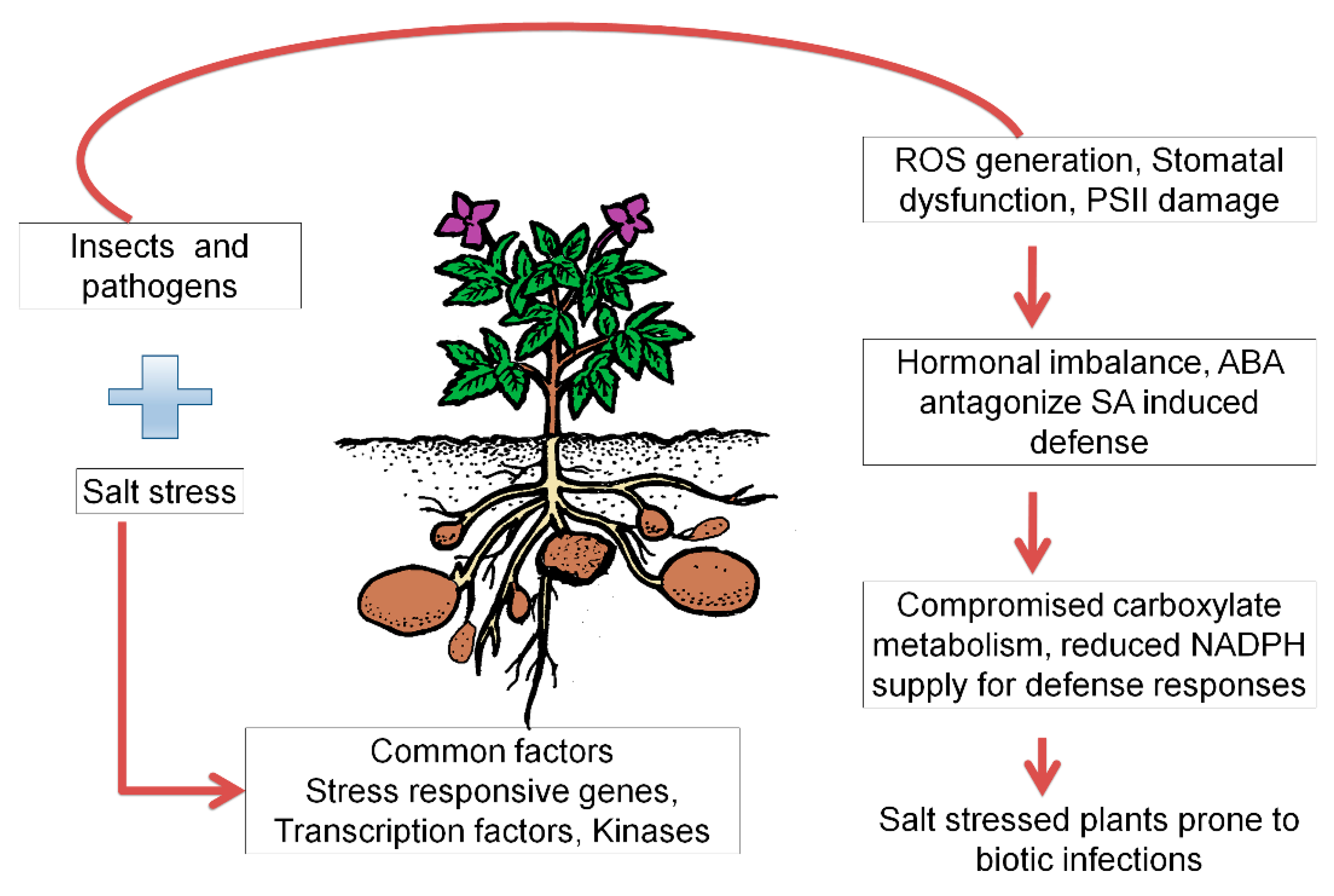 Life 11 00545 g004 Life 11 00545 g004