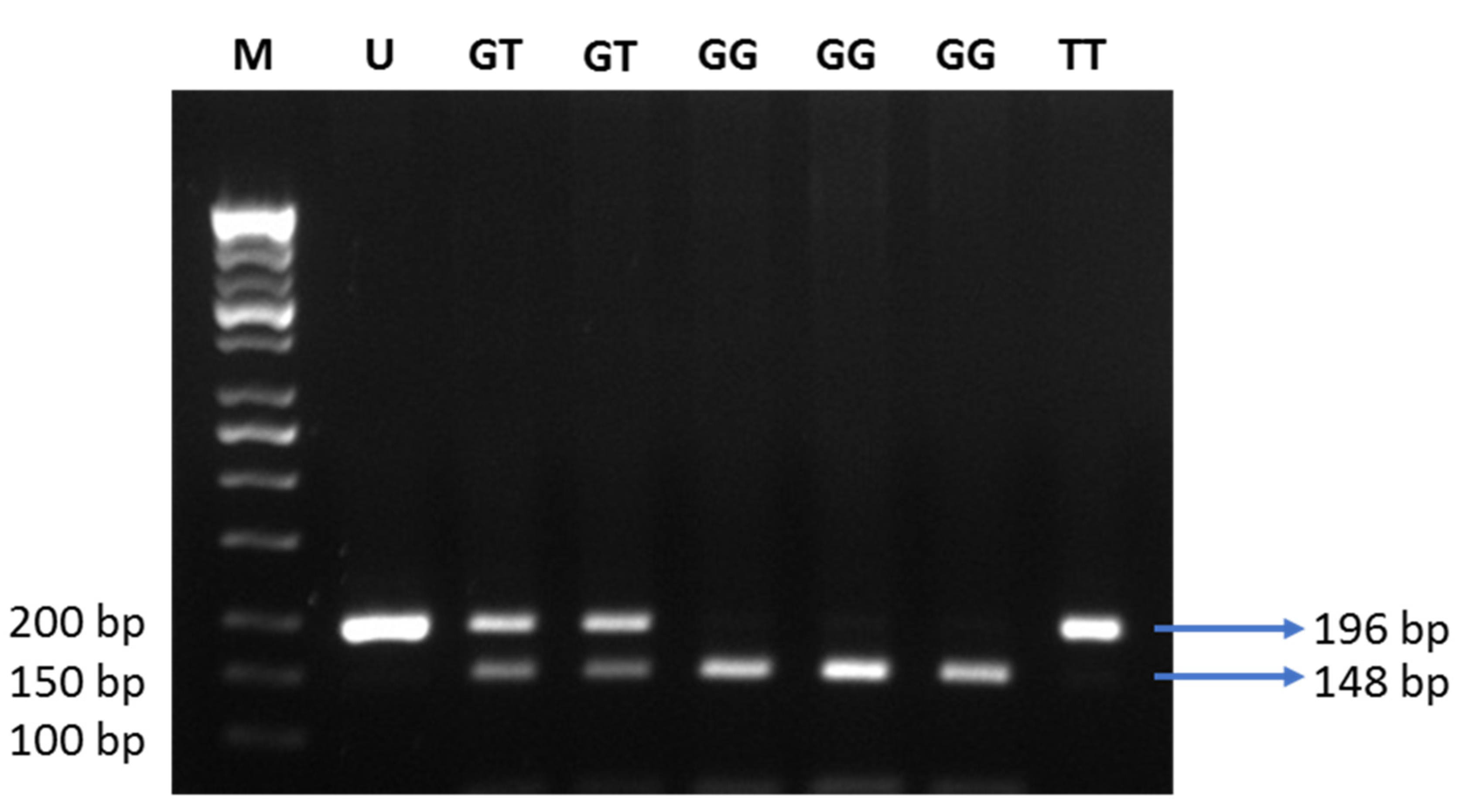 Life 11 00552 g004 Life 11 00552 g004