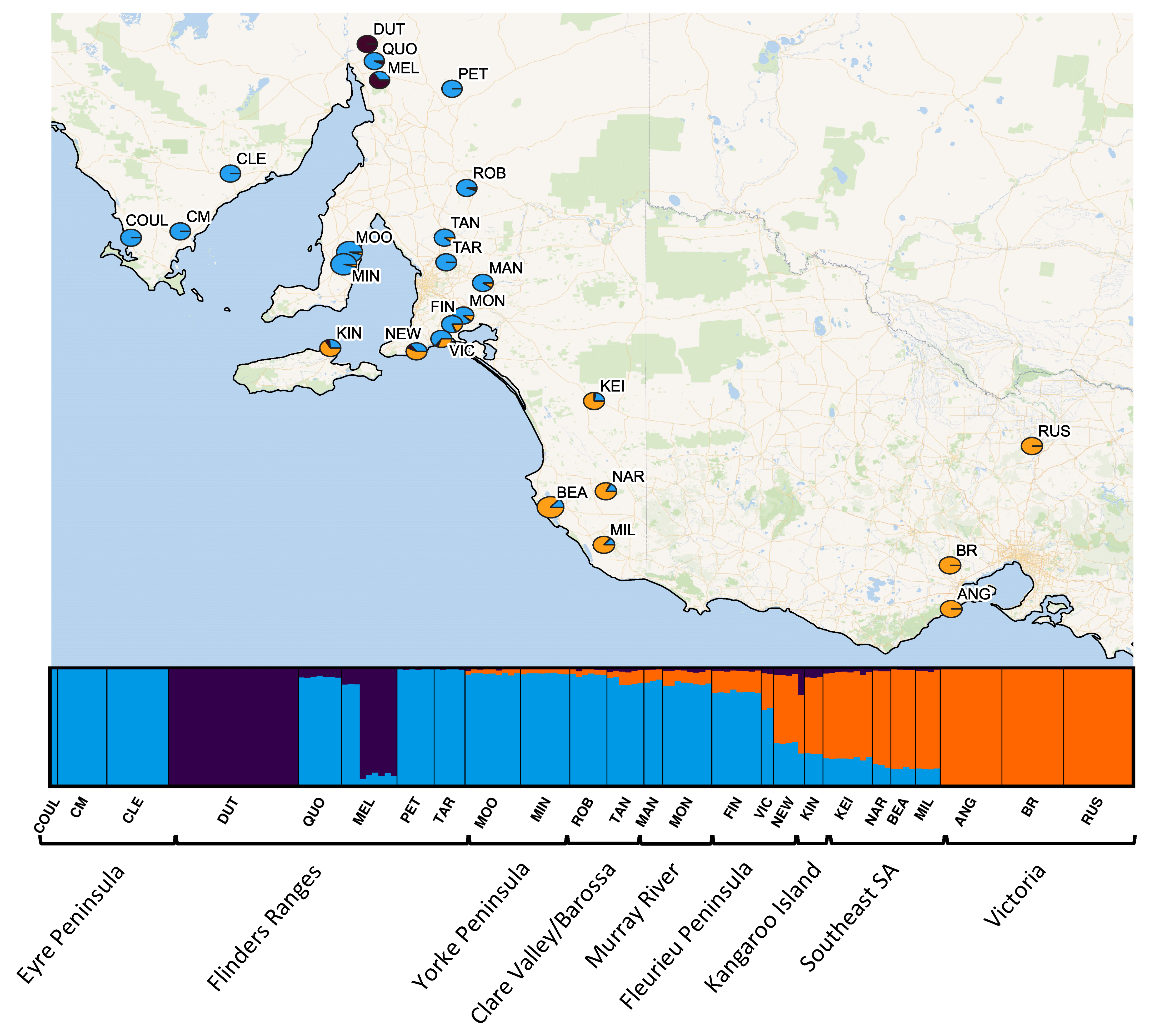 Life 11 00553 g002 Life 11 00553 g002