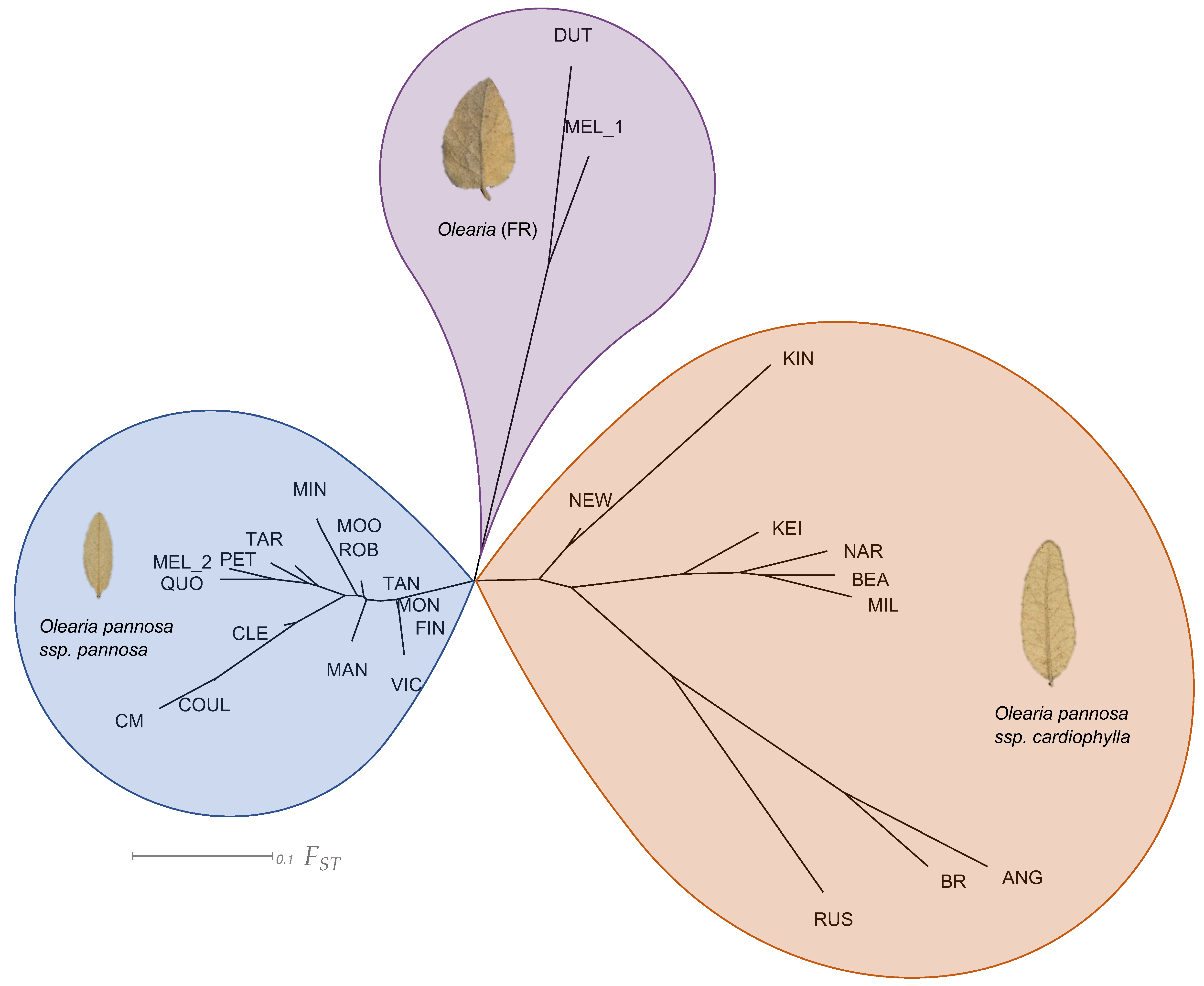 Life 11 00553 g003 Life 11 00553 g003