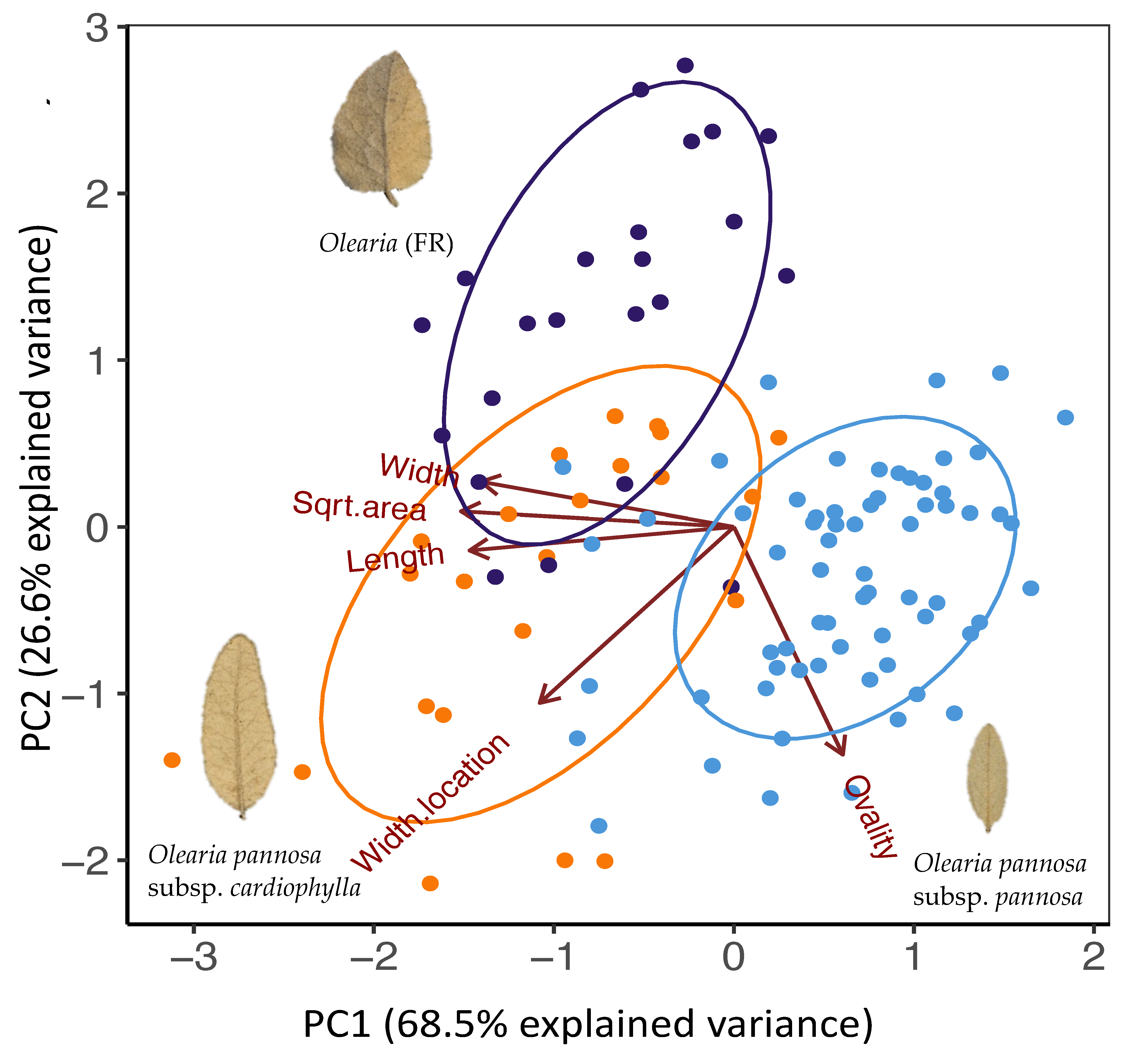 Life 11 00553 g005 Life 11 00553 g005