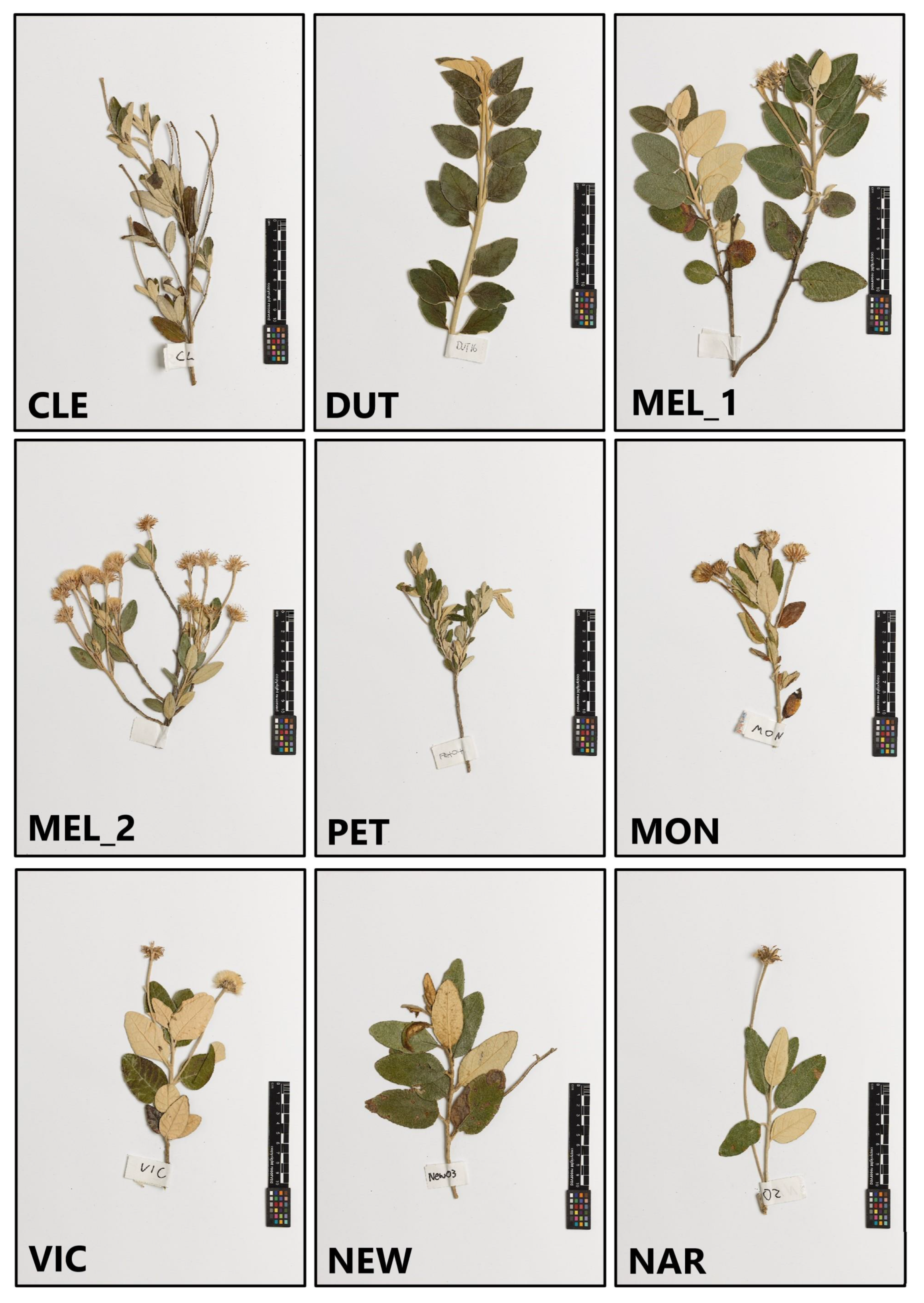 Life 11 00553 g0a1 Life 11 00553 g0a1