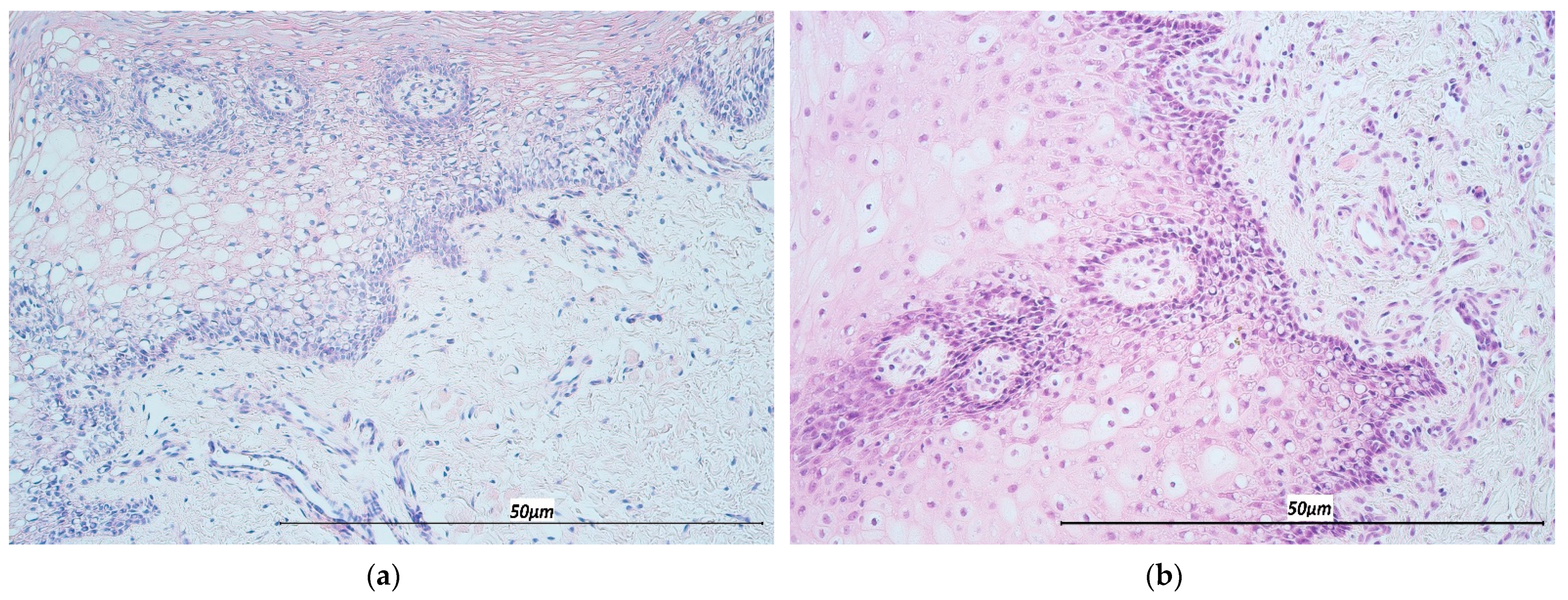 Life 11 00556 g002 Life 11 00556 g002