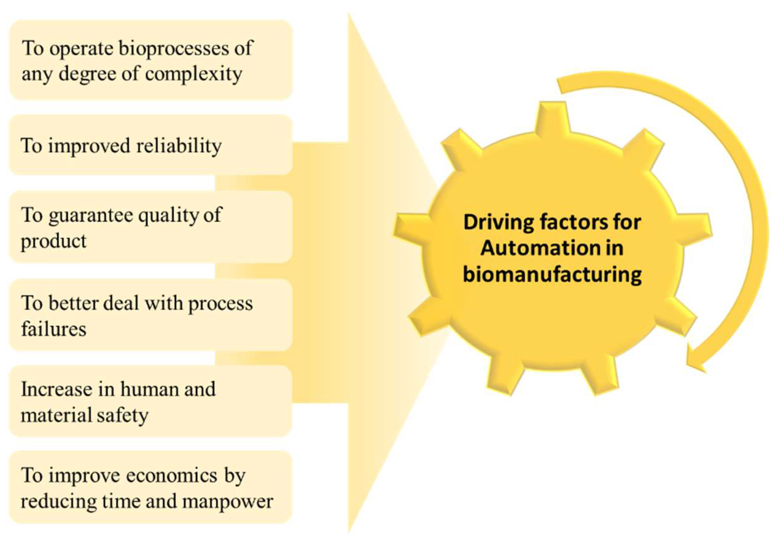 Life 11 00557 g006 Life 11 00557 g006
