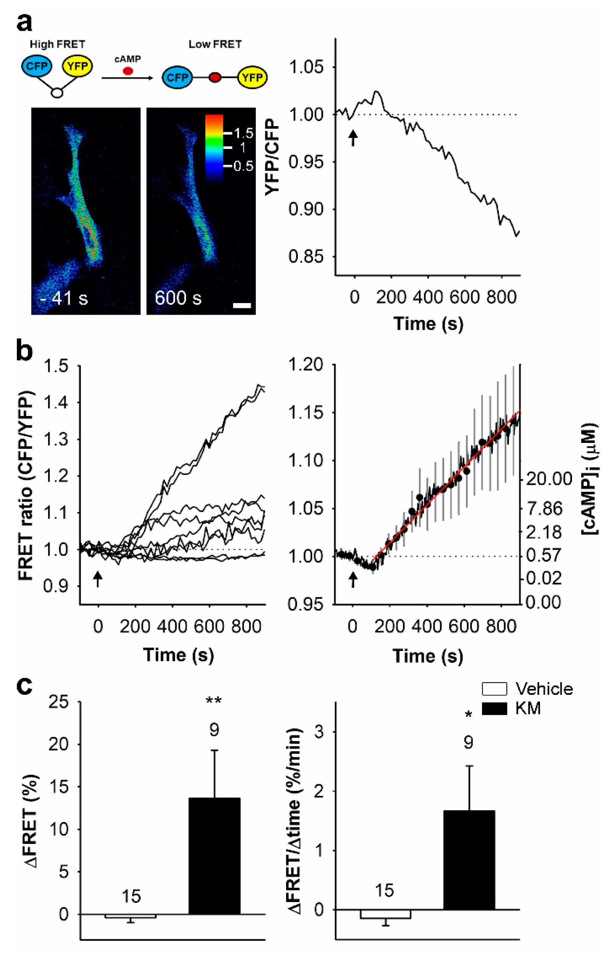 Life 11 00573 g001 Life 11 00573 g001