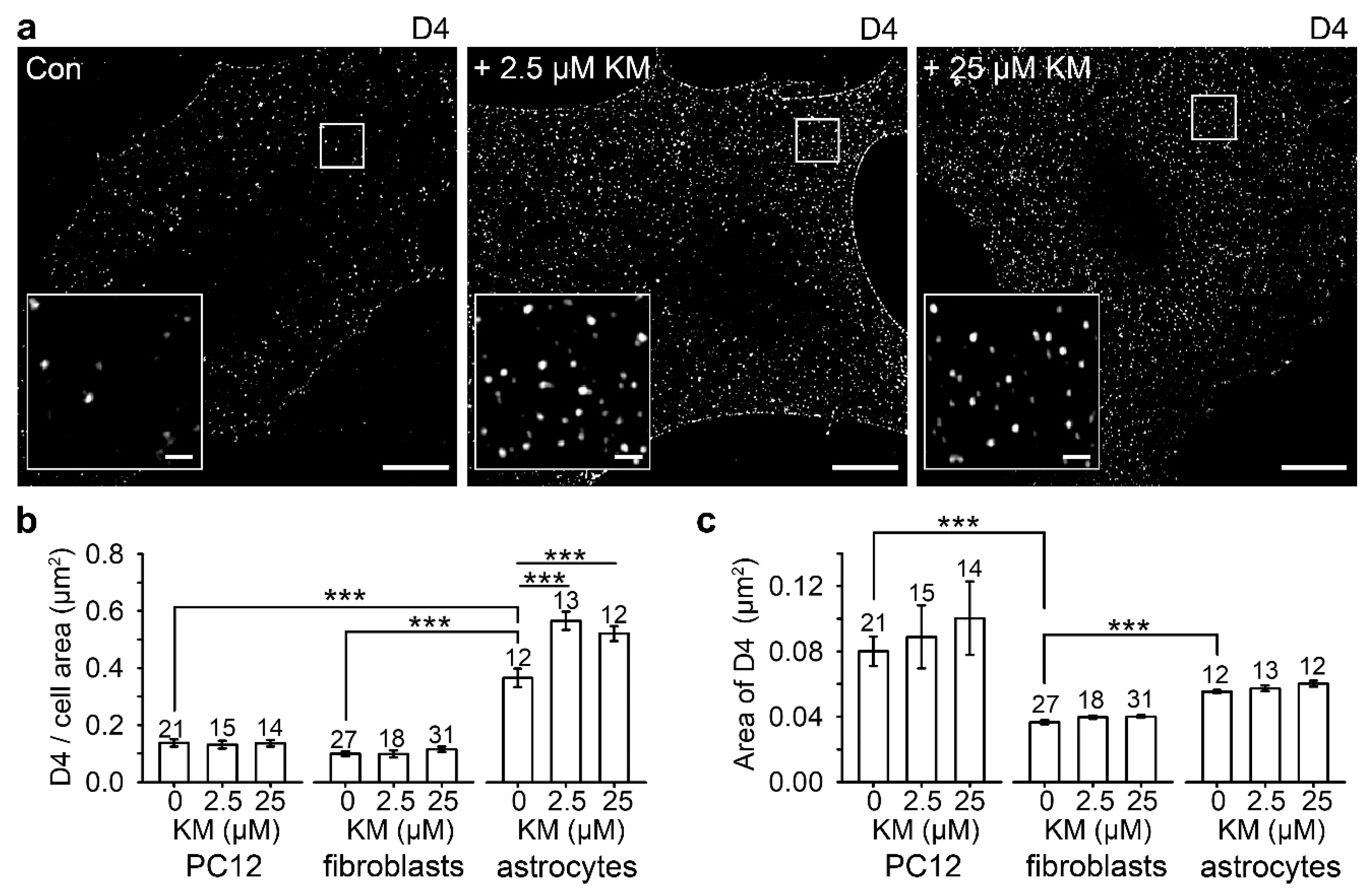 Life 11 00573 g002 Life 11 00573 g002