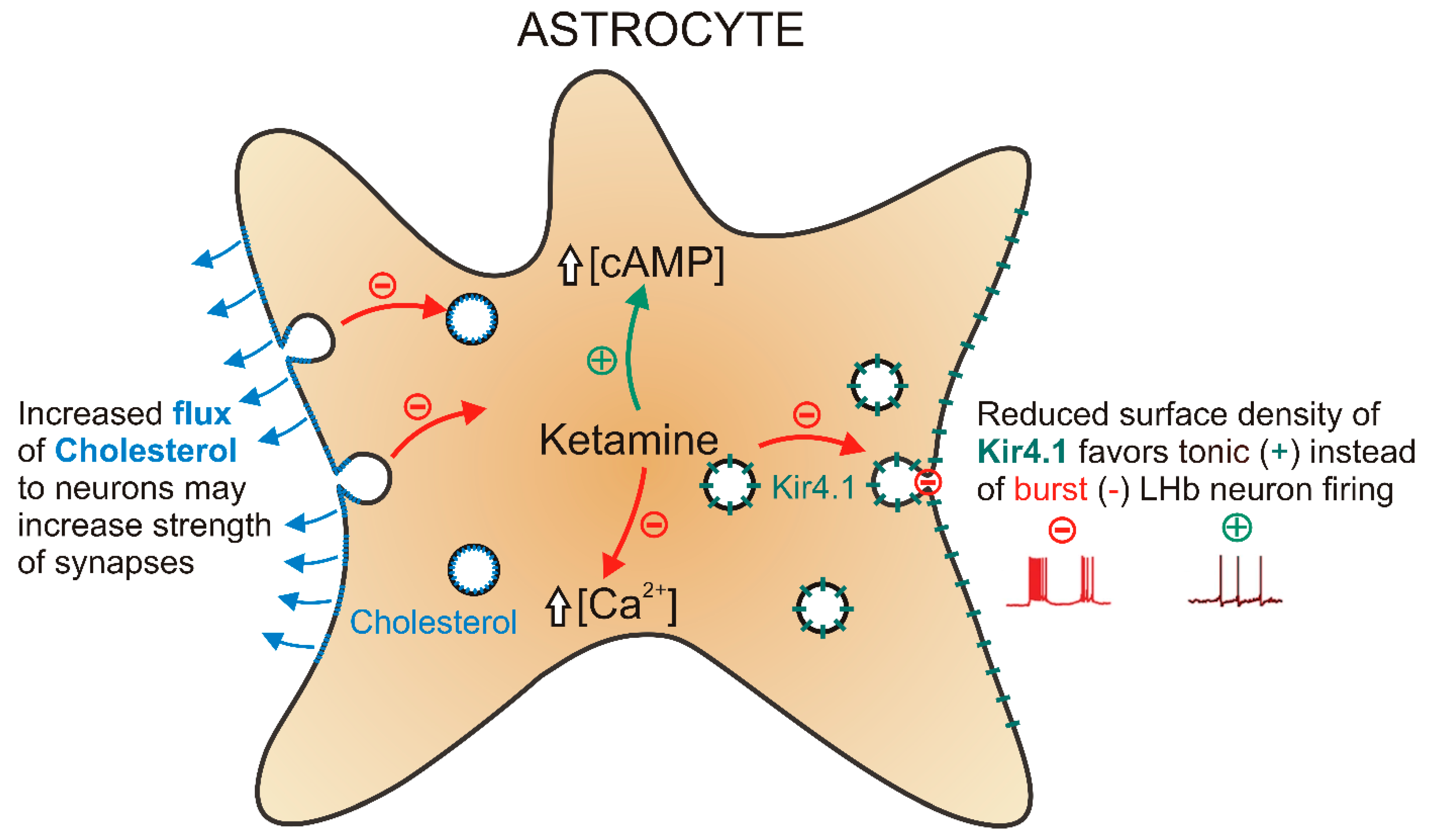 Life 11 00573 g003 Life 11 00573 g003