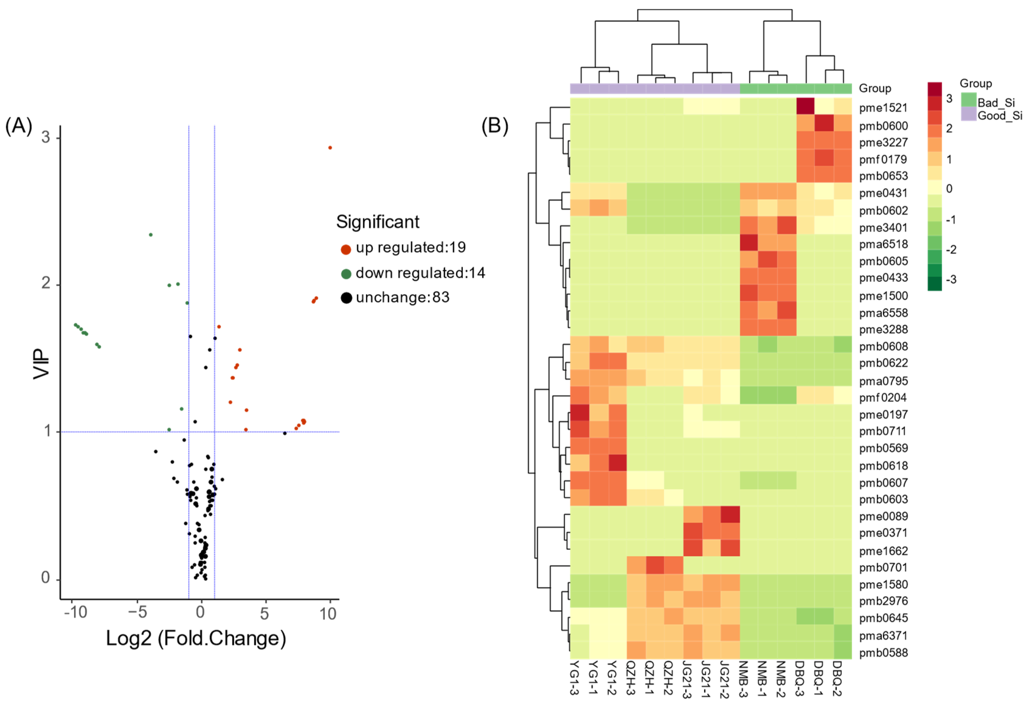 Life 11 00578 g006 Life 11 00578 g006