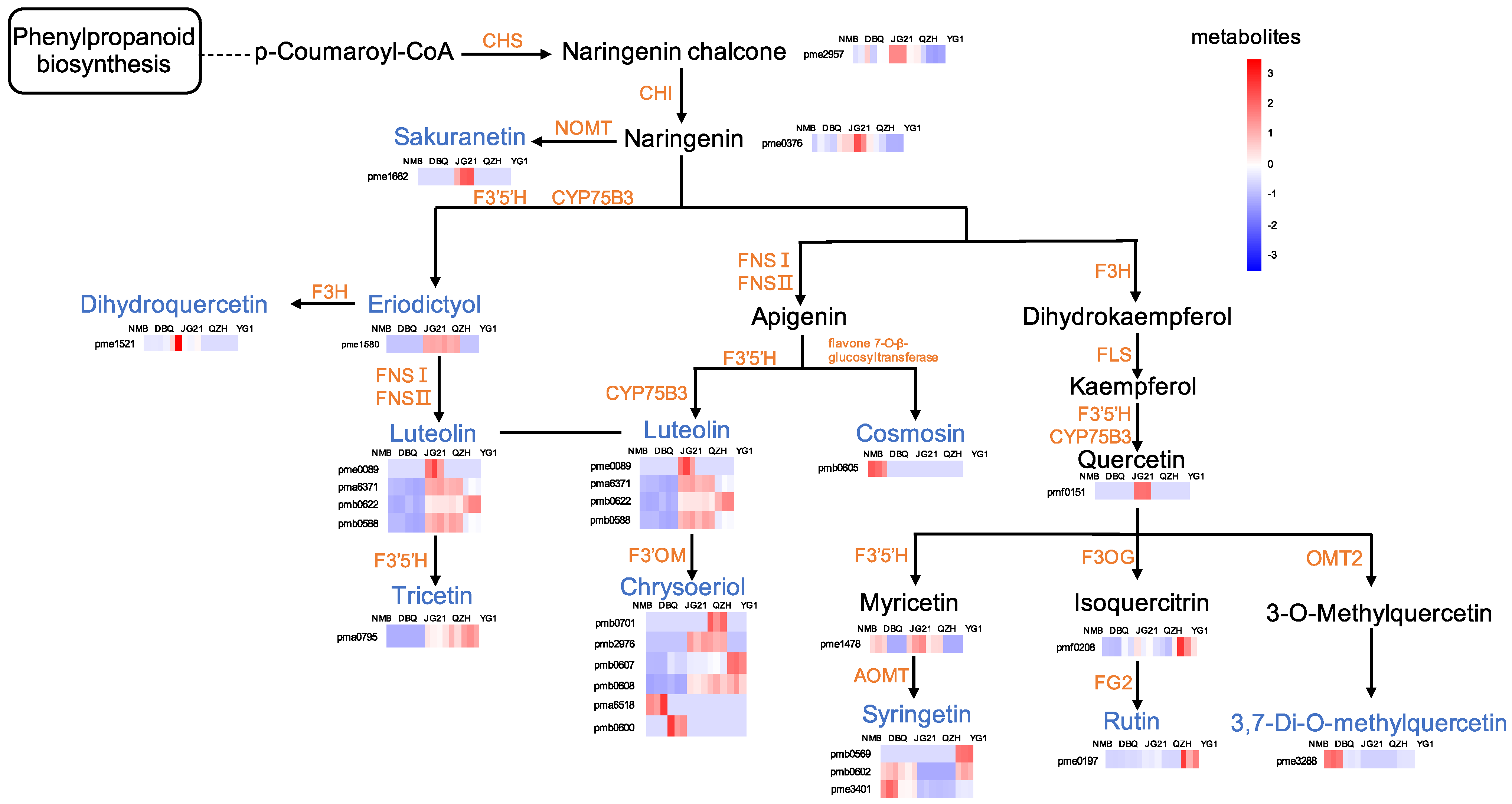 Life 11 00578 g008 Life 11 00578 g008