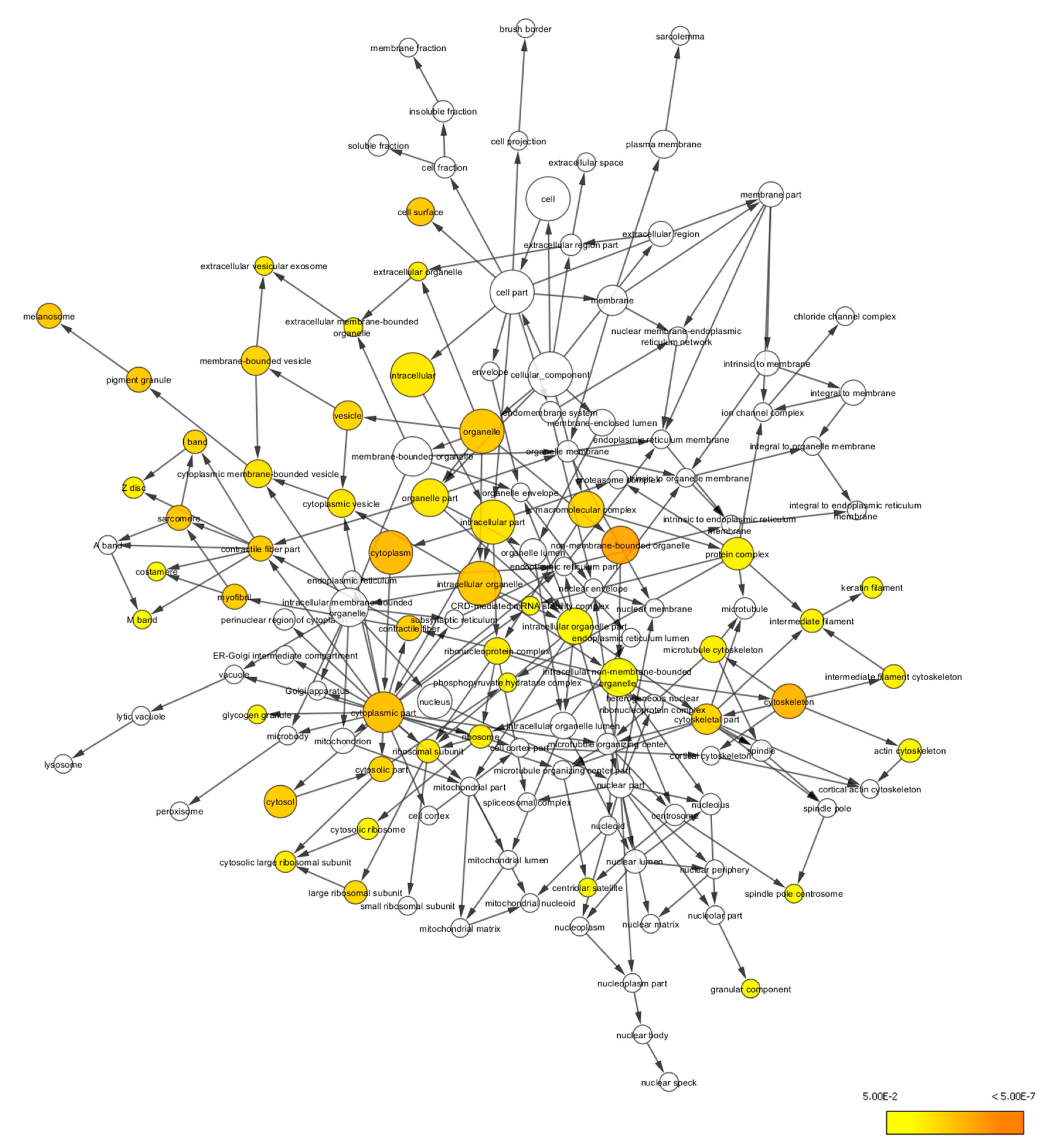 Life 11 00585 g007 Life 11 00585 g007