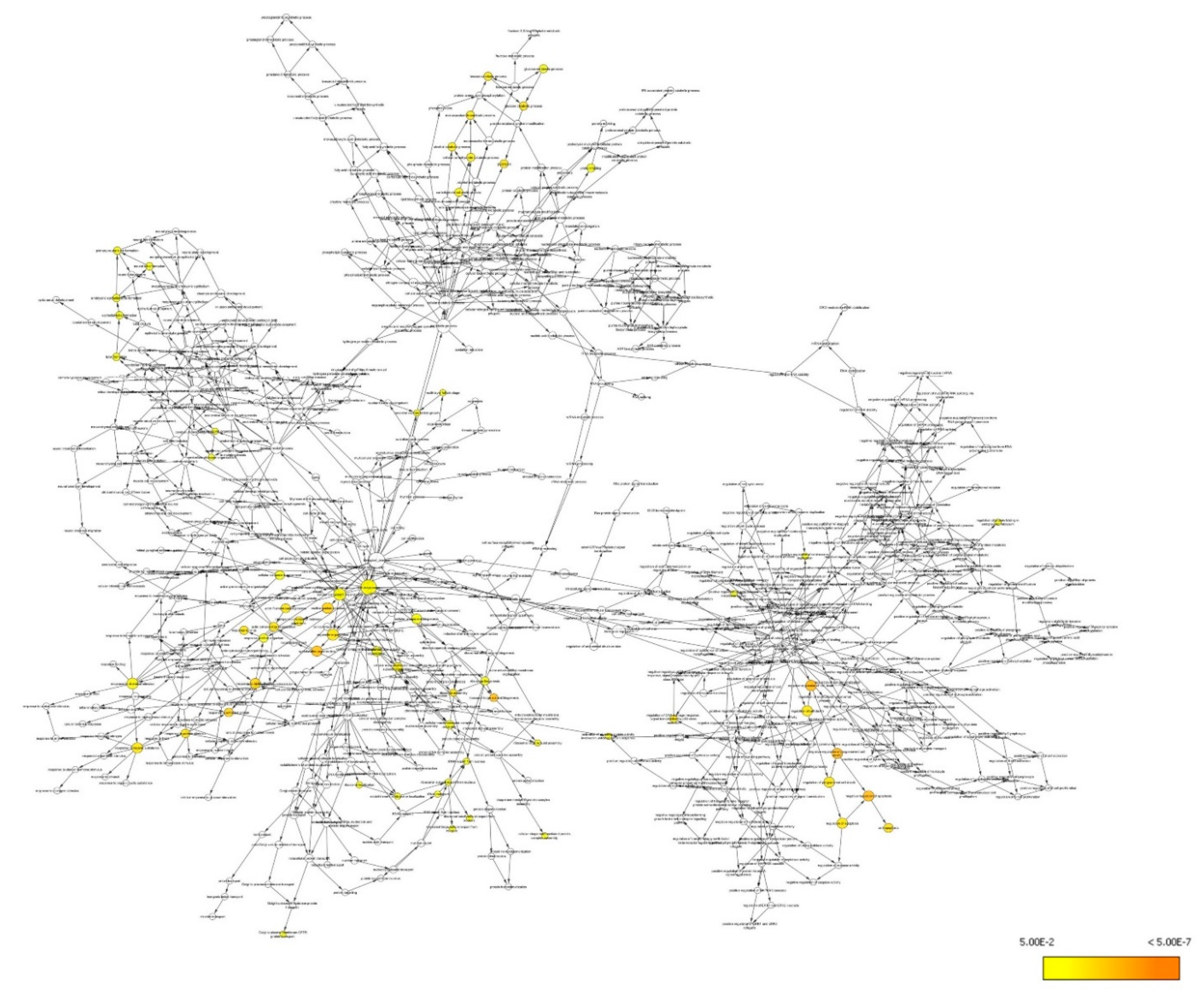 Life 11 00585 g009 Life 11 00585 g009