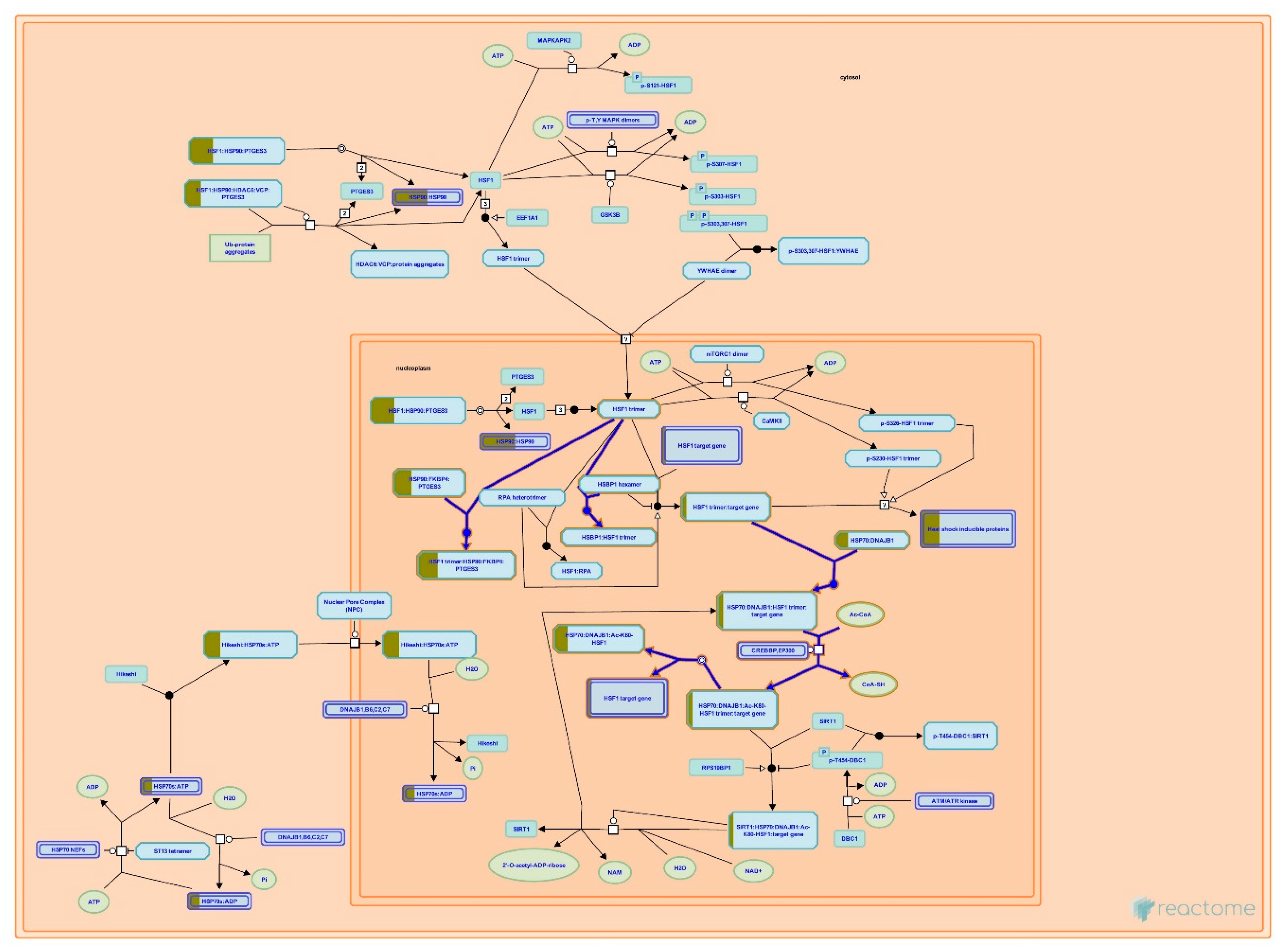 Life 11 00585 g013 Life 11 00585 g013