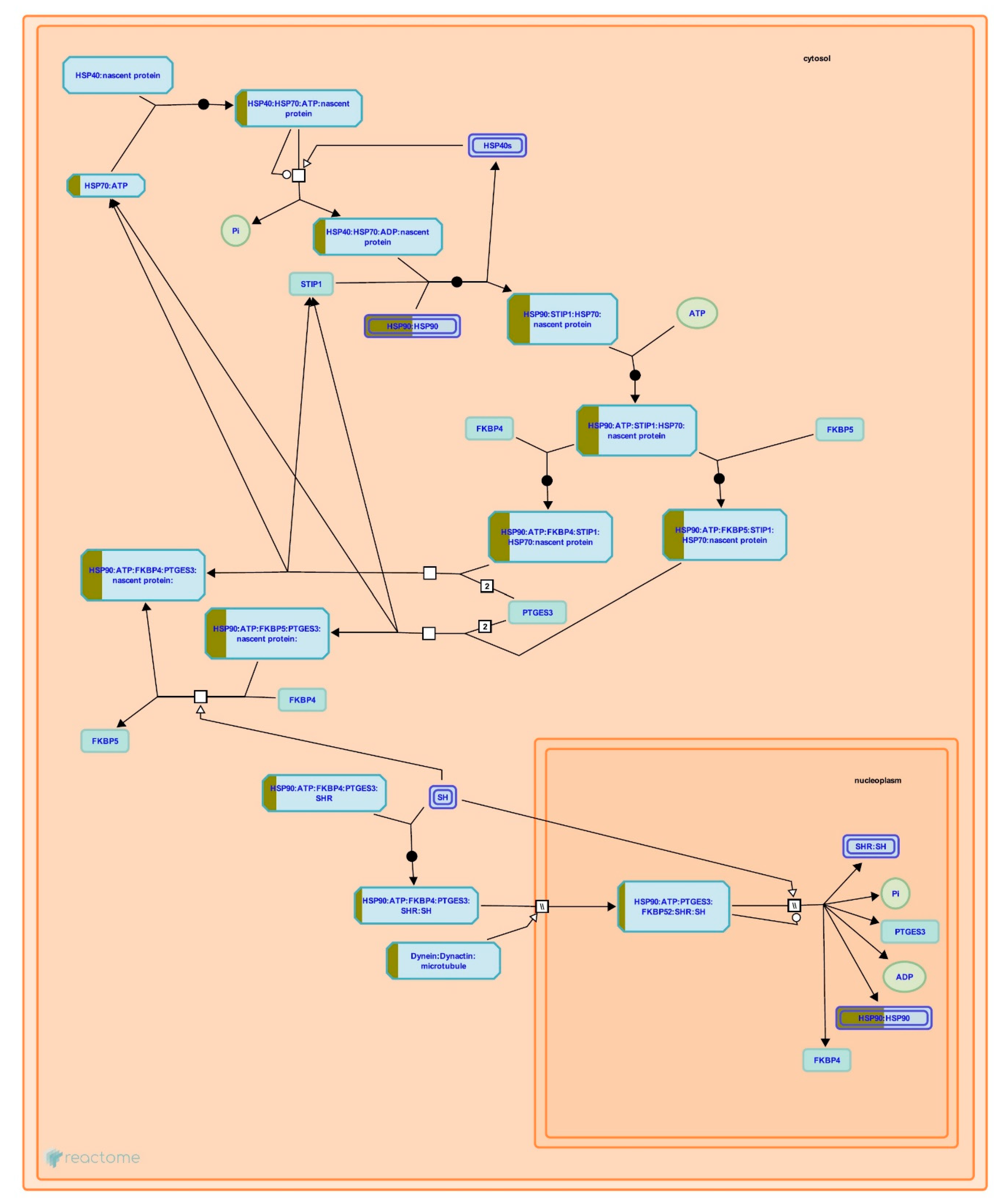 Life 11 00585 g014 Life 11 00585 g014