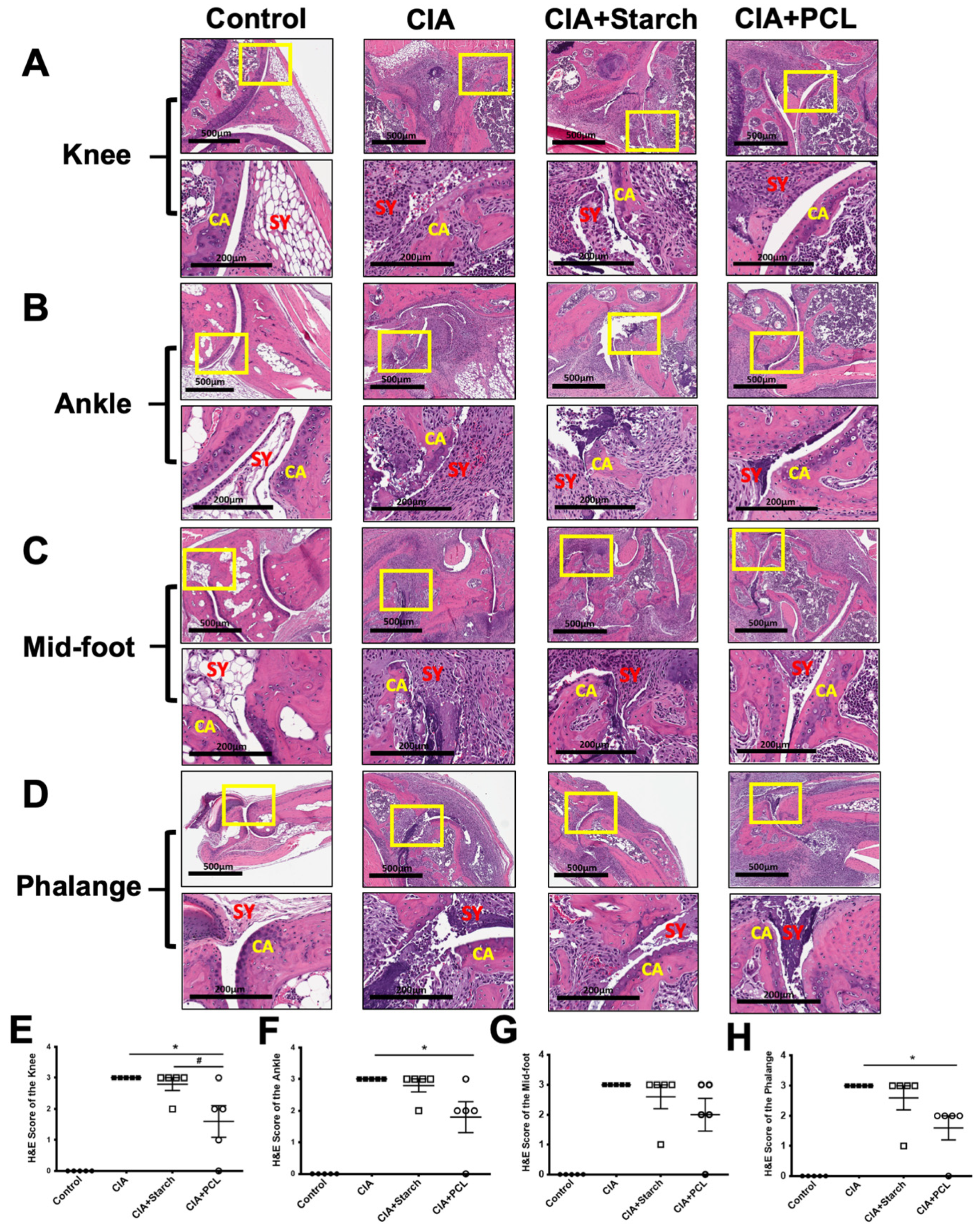 Life 11 00587 g003 550
