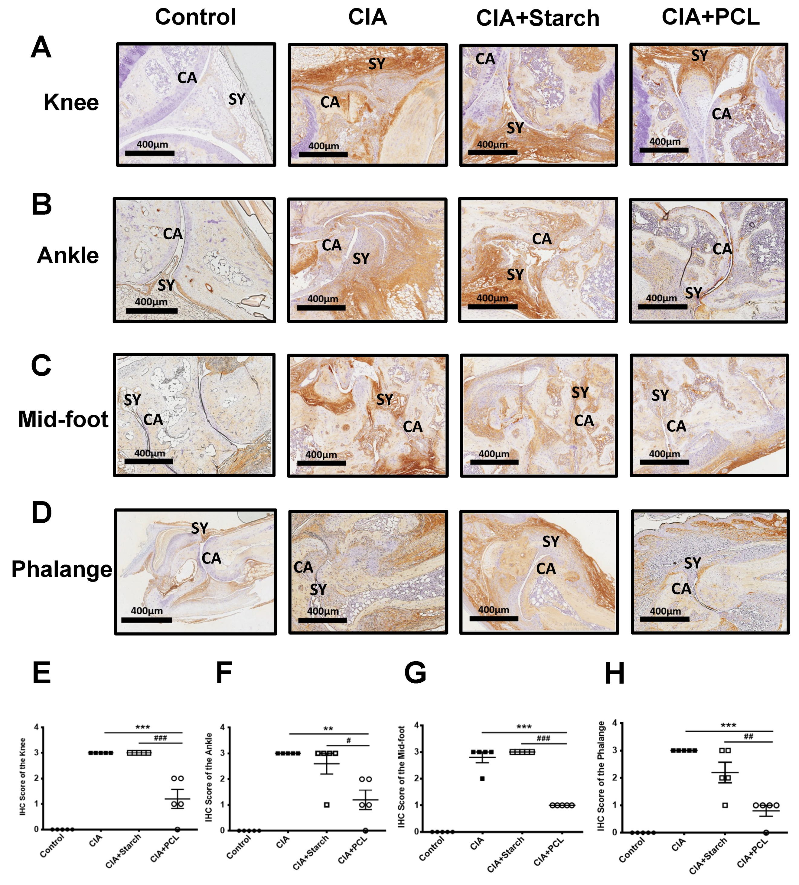 Life 11 00587 g004 550