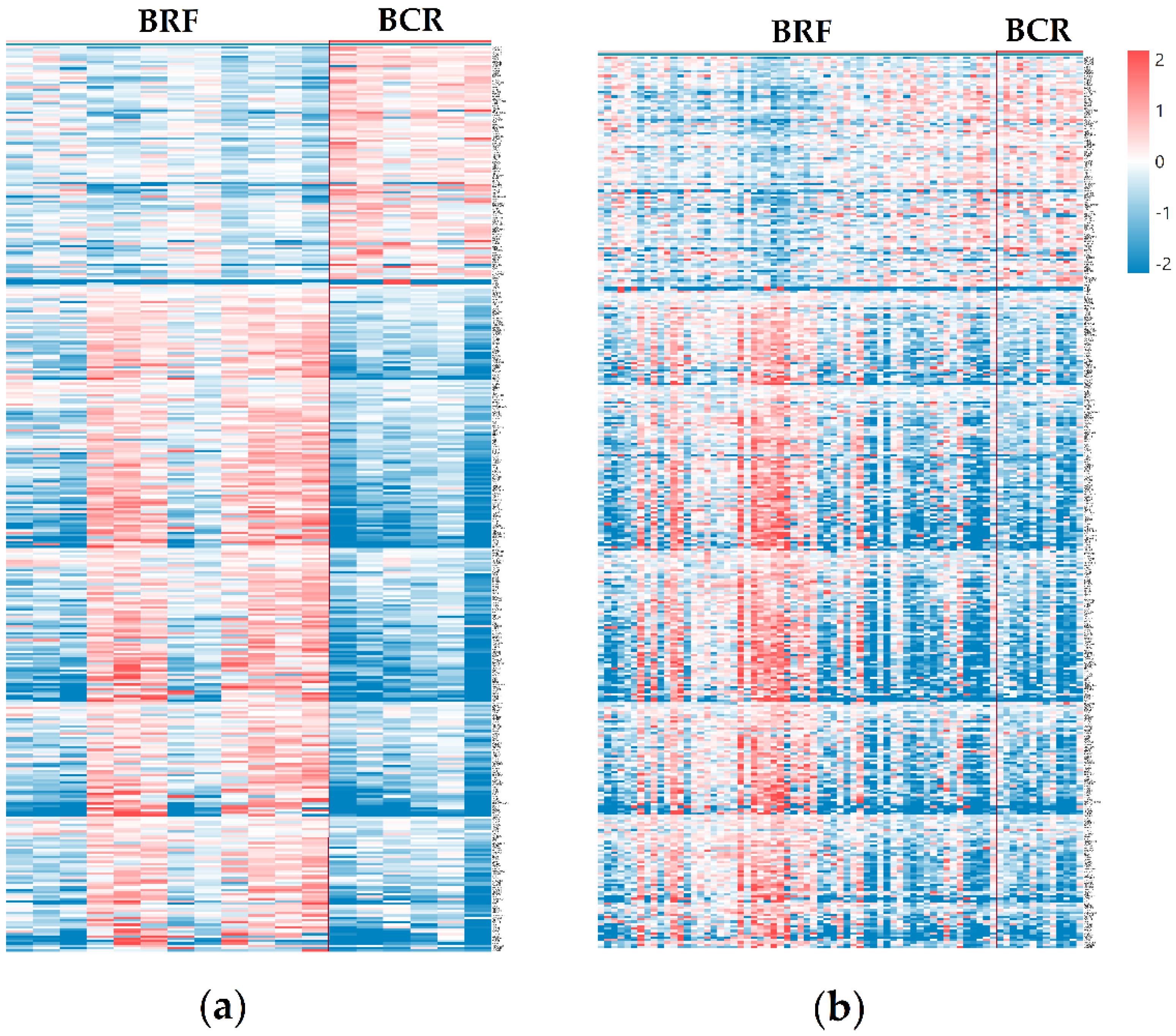 Life 11 00588 g002 550