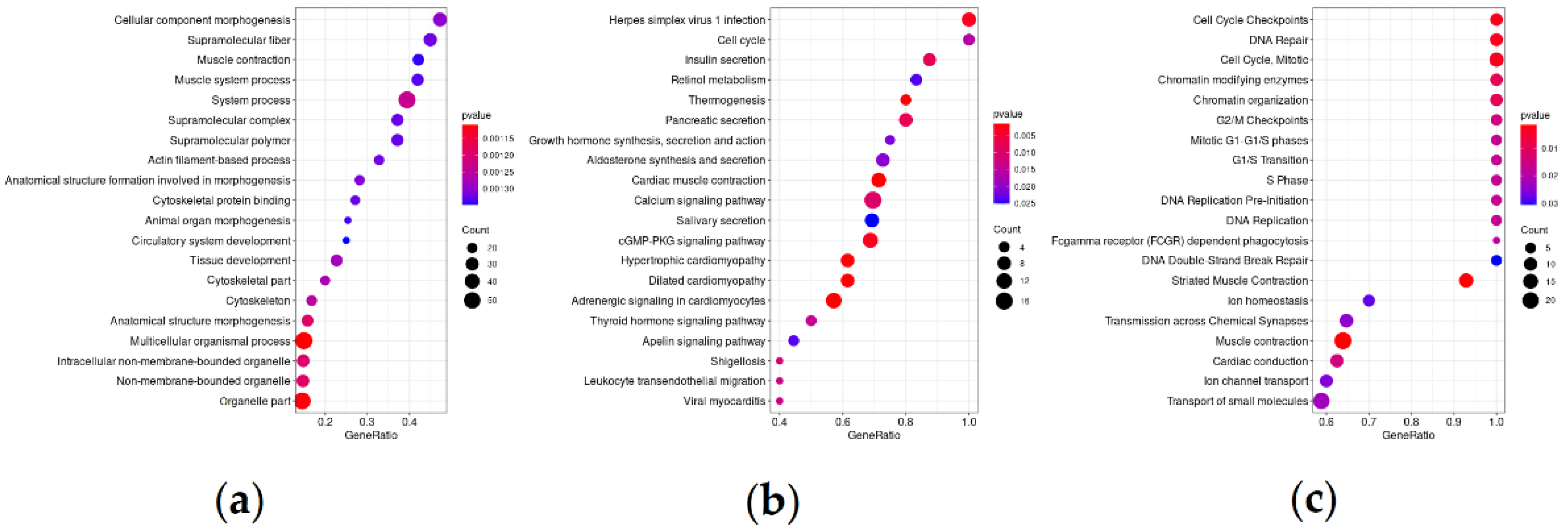 Life 11 00588 g003 550