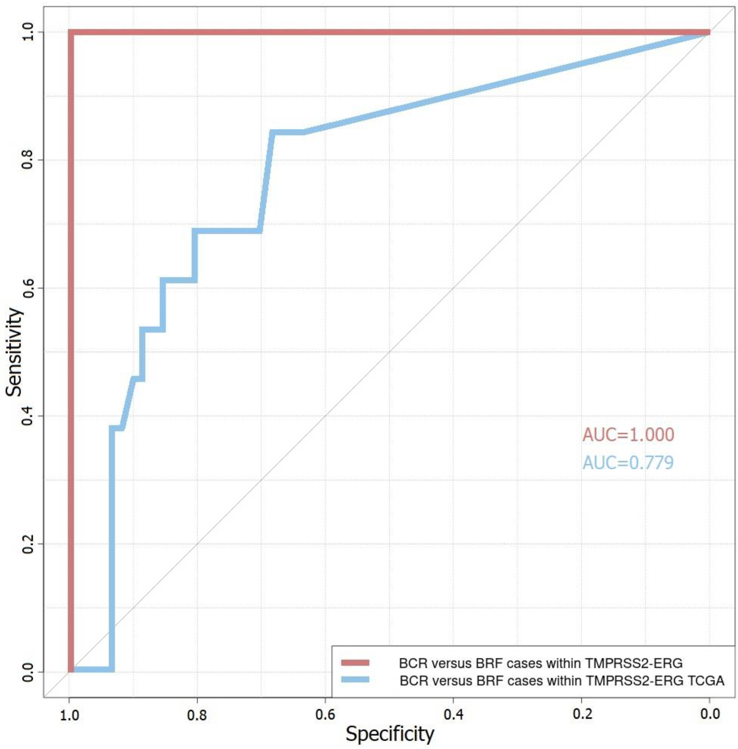 Life 11 00588 g004 550