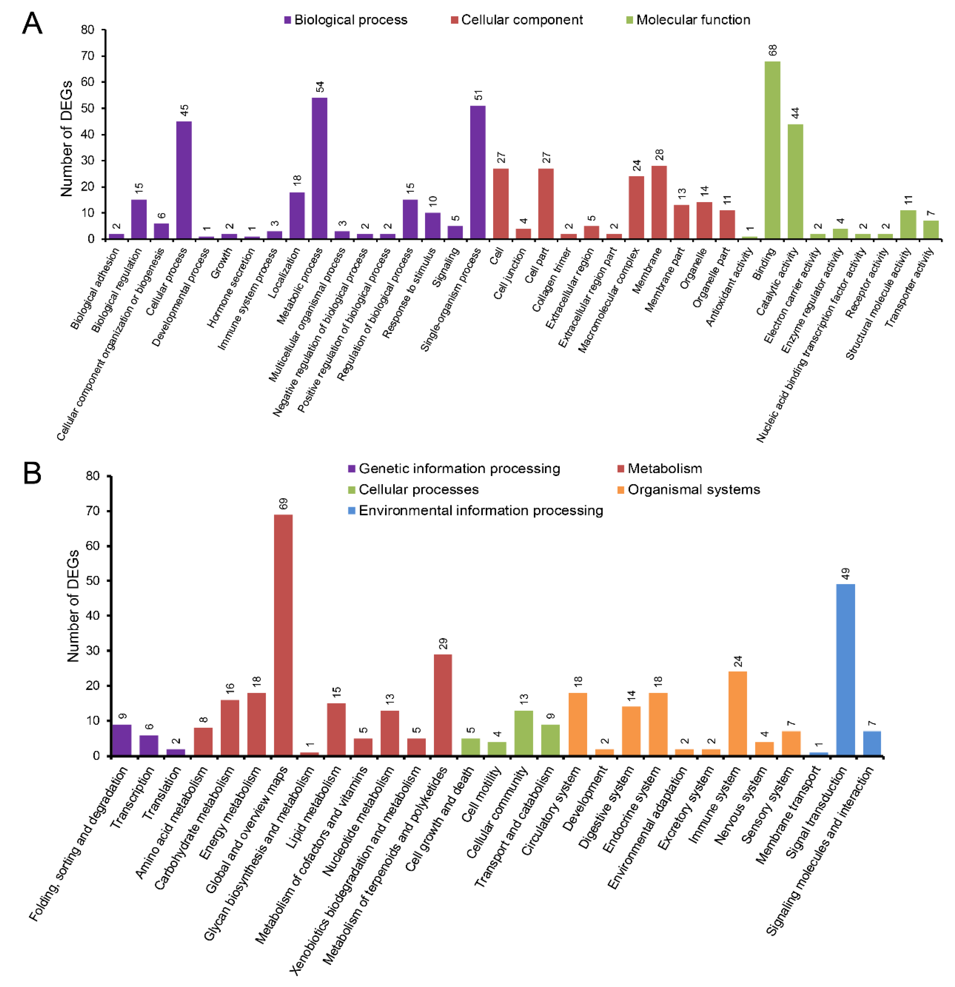 Life 11 00589 g004 Life 11 00589 g004