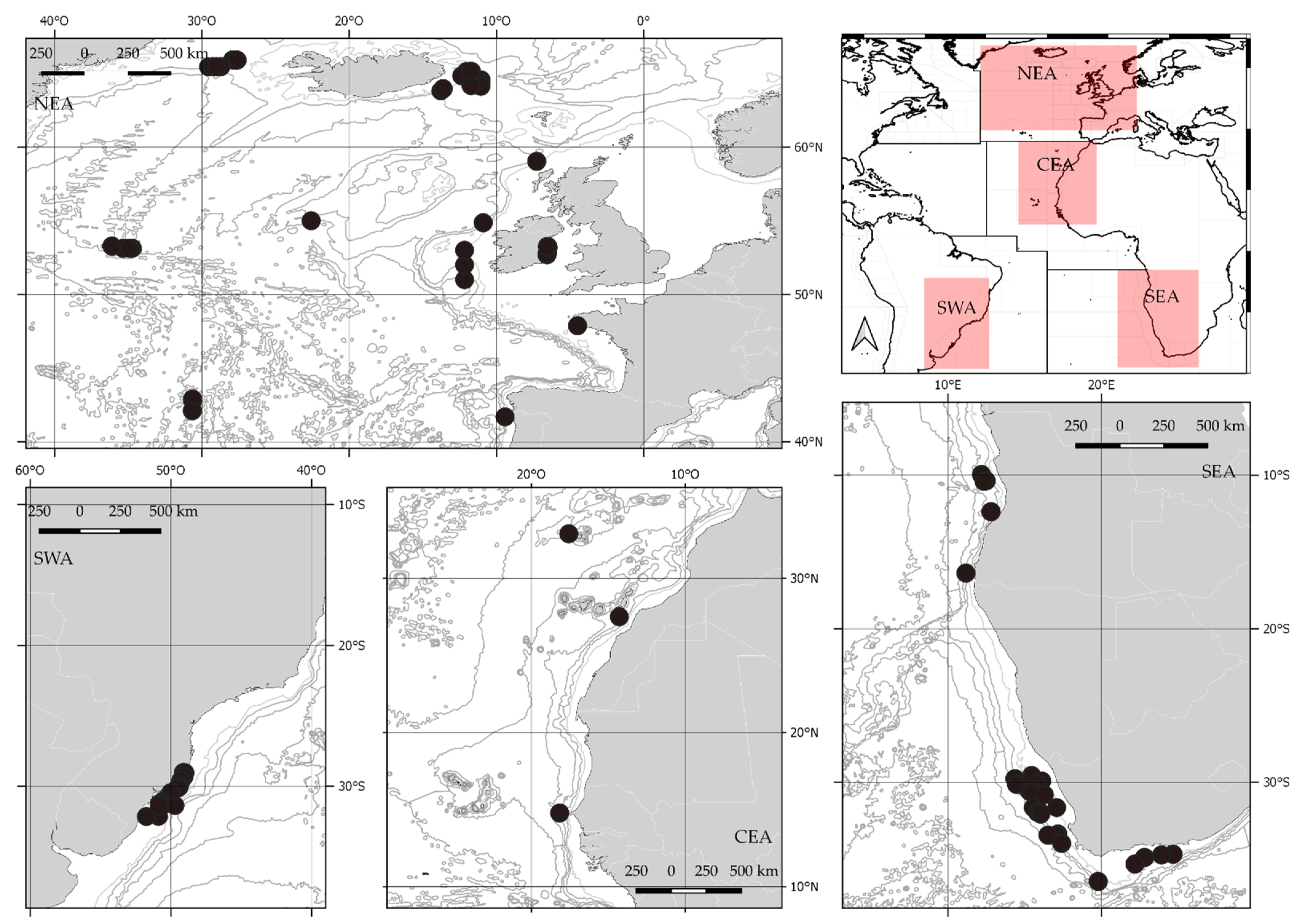 Life 11 00596 g001 550