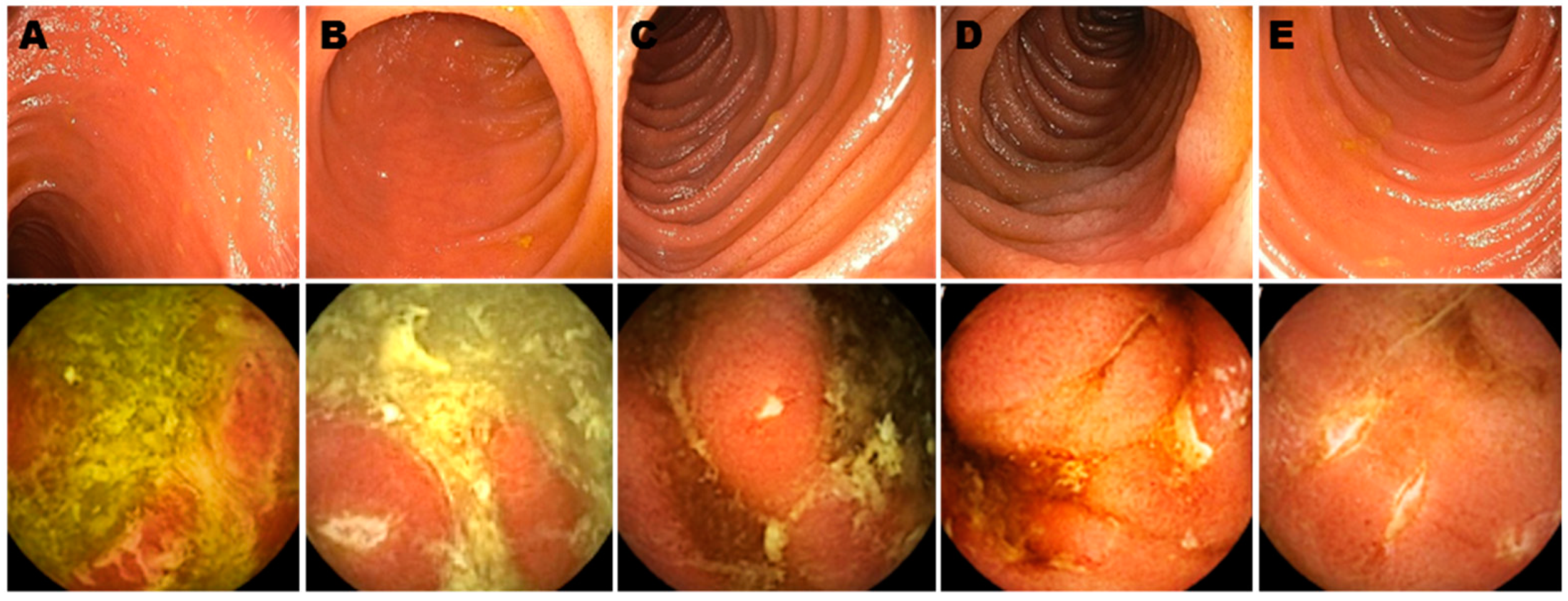 Life 11 00602 g001 550