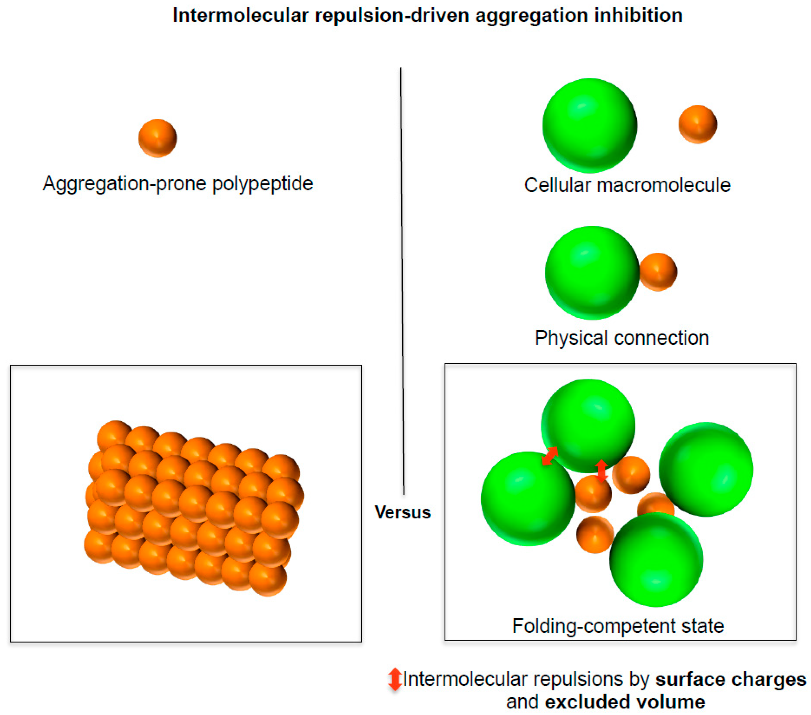 Life 11 00605 g003 Life 11 00605 g003