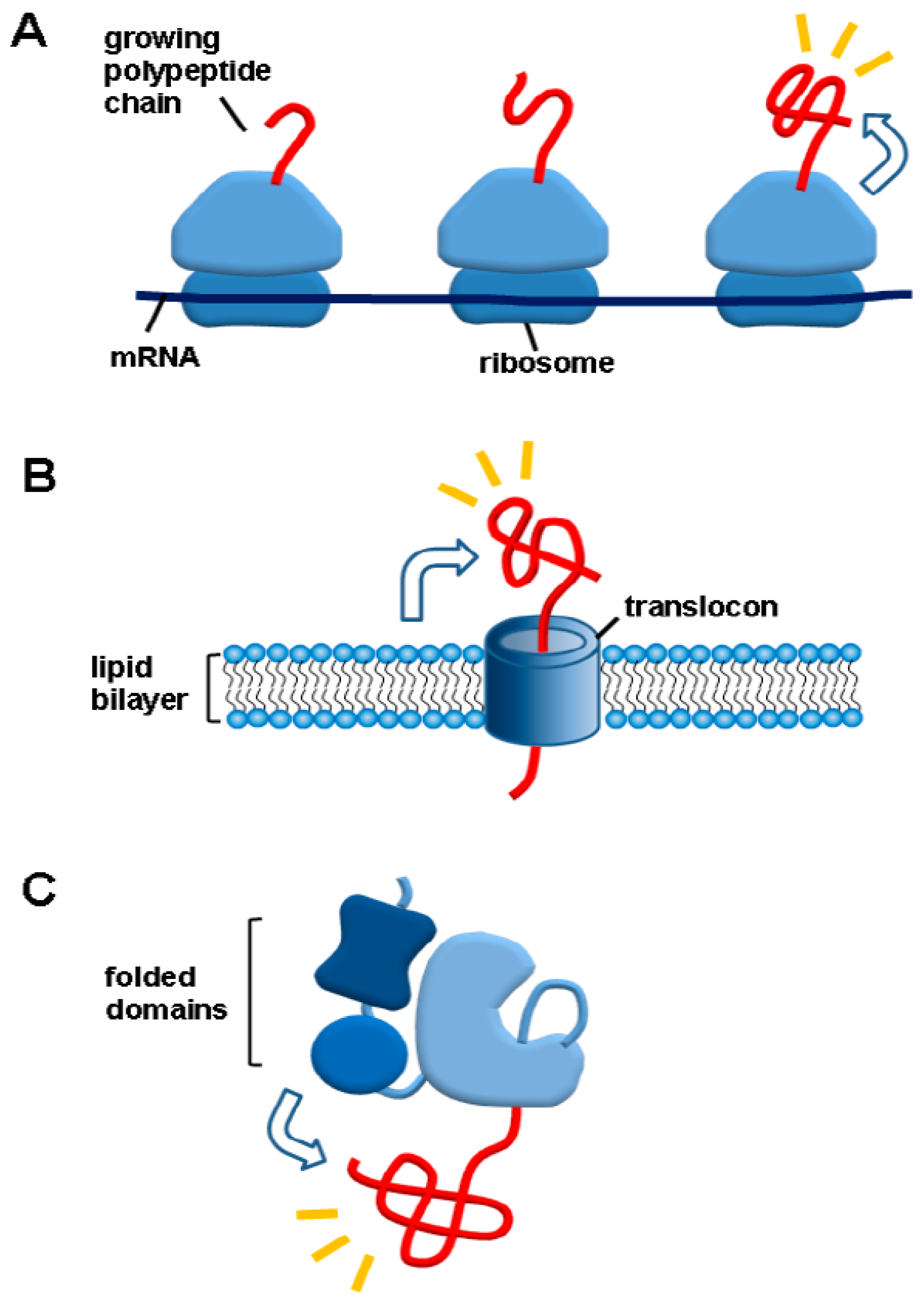 Life 11 00605 g004 Life 11 00605 g004