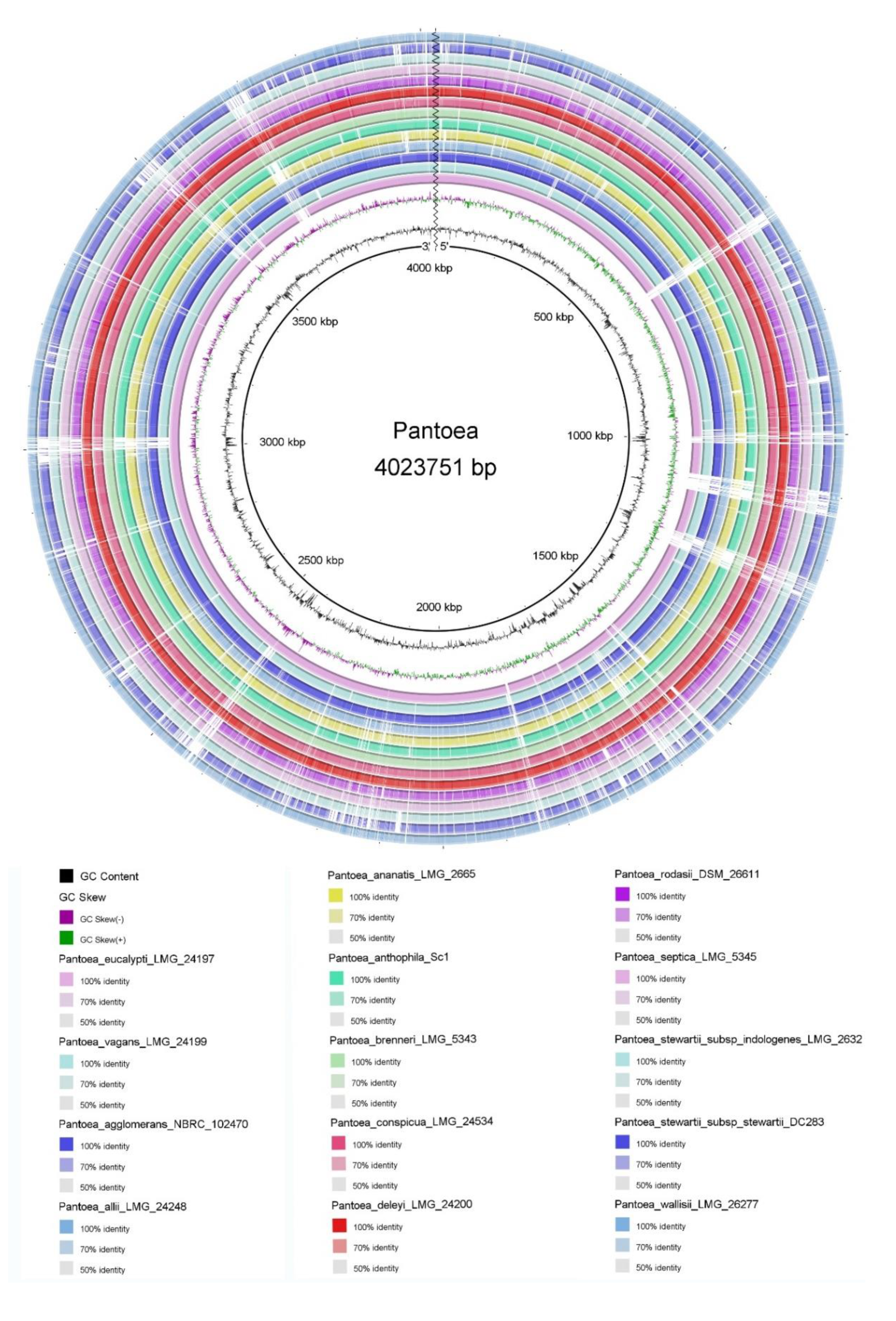 Life 11 00608 g004 550