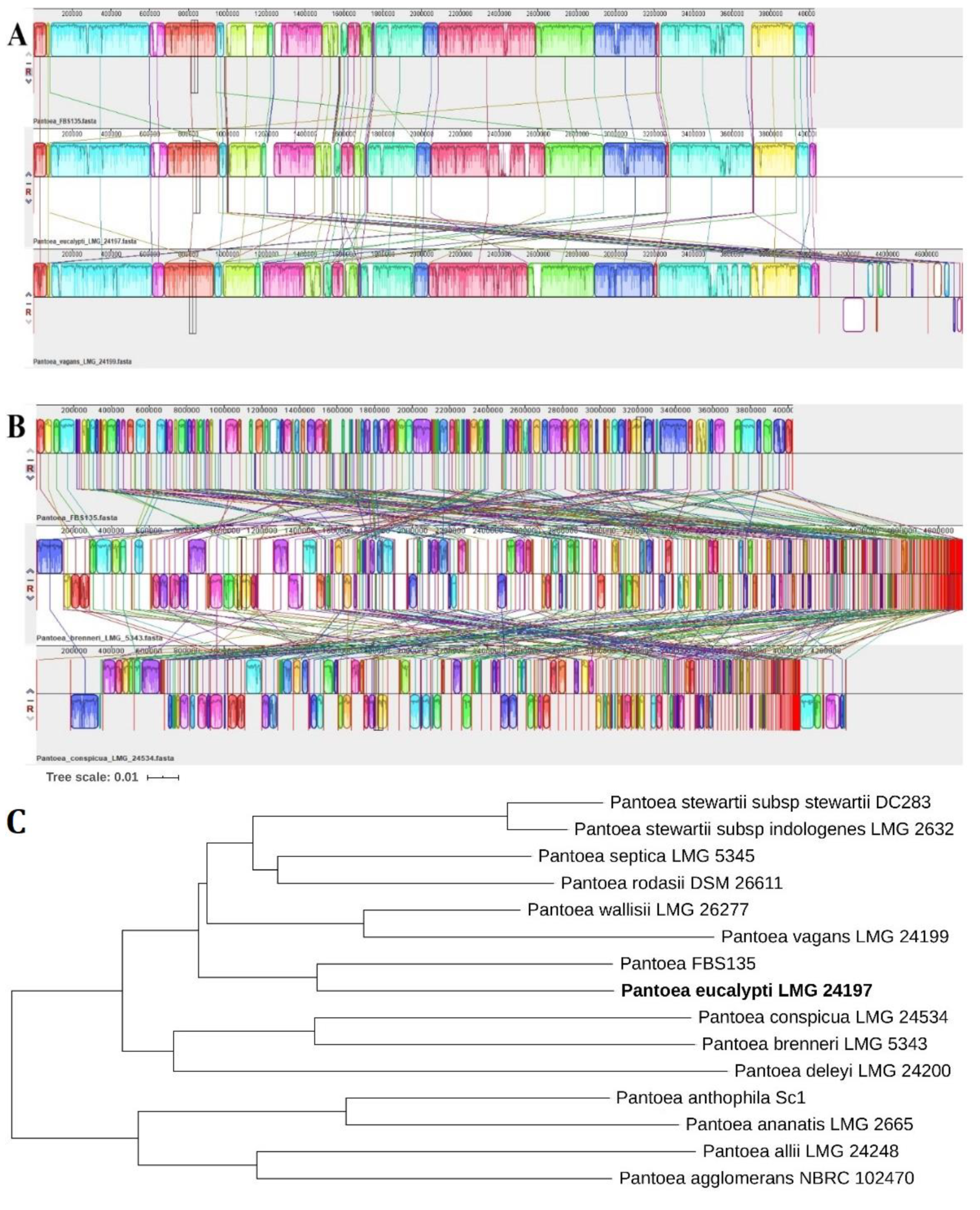 Life 11 00608 g005 550