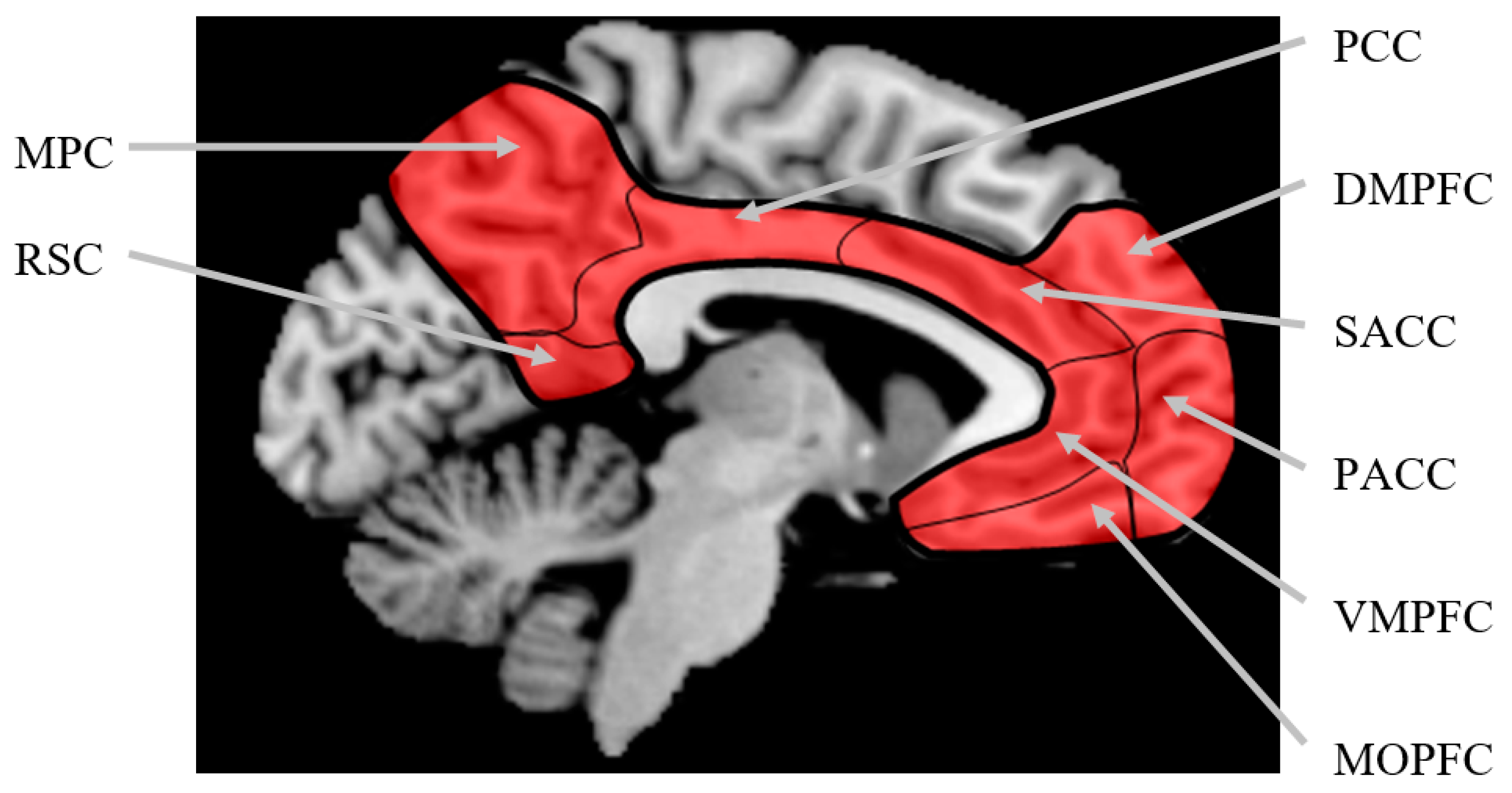 Life 11 00611 g001 550