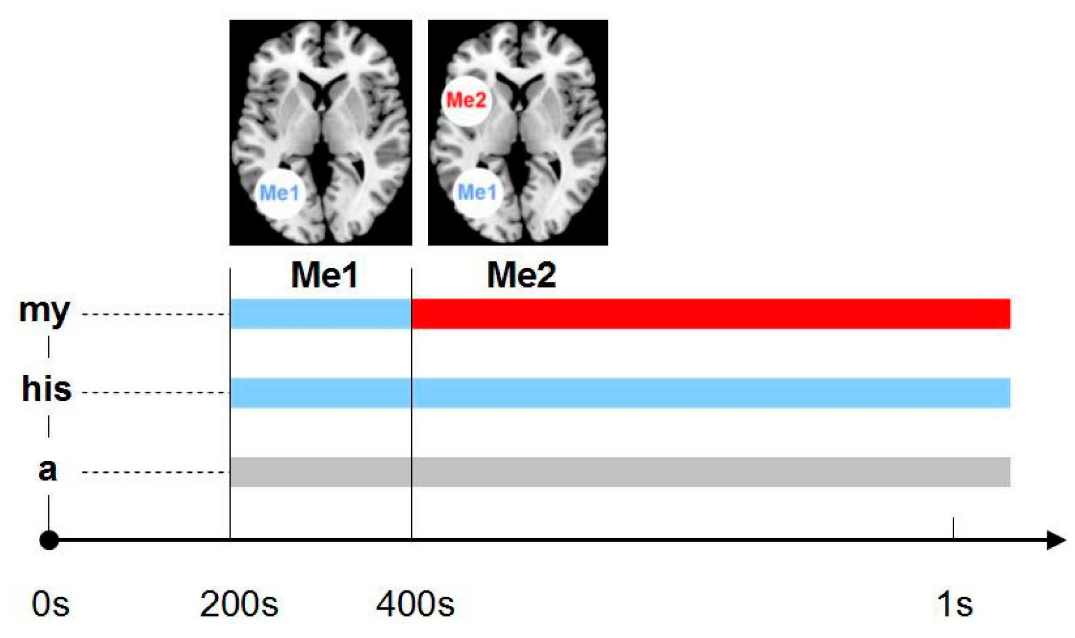 Life 11 00611 g002 550
