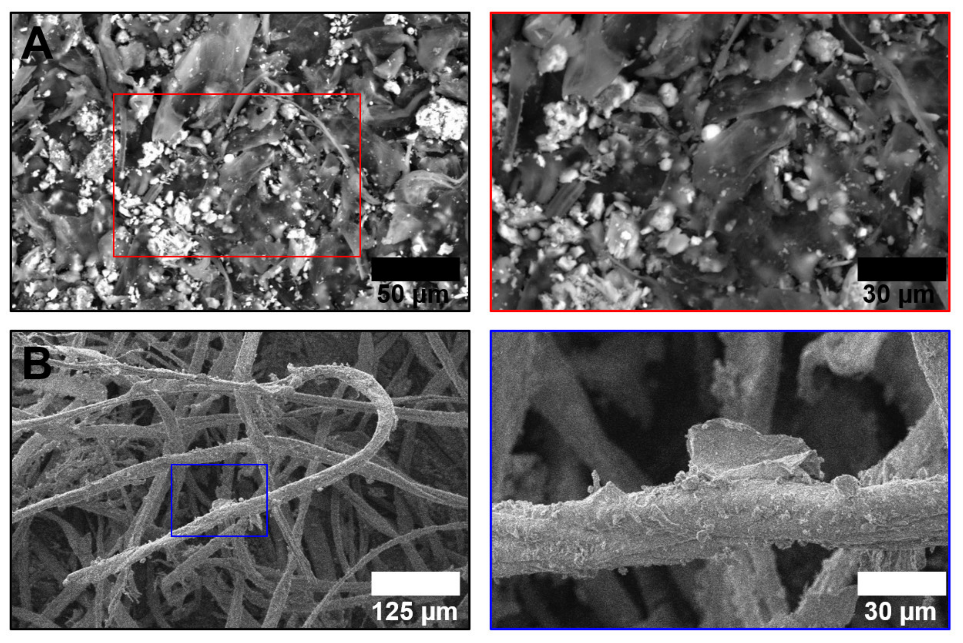 Life 11 00639 g001 Life 11 00639 g001