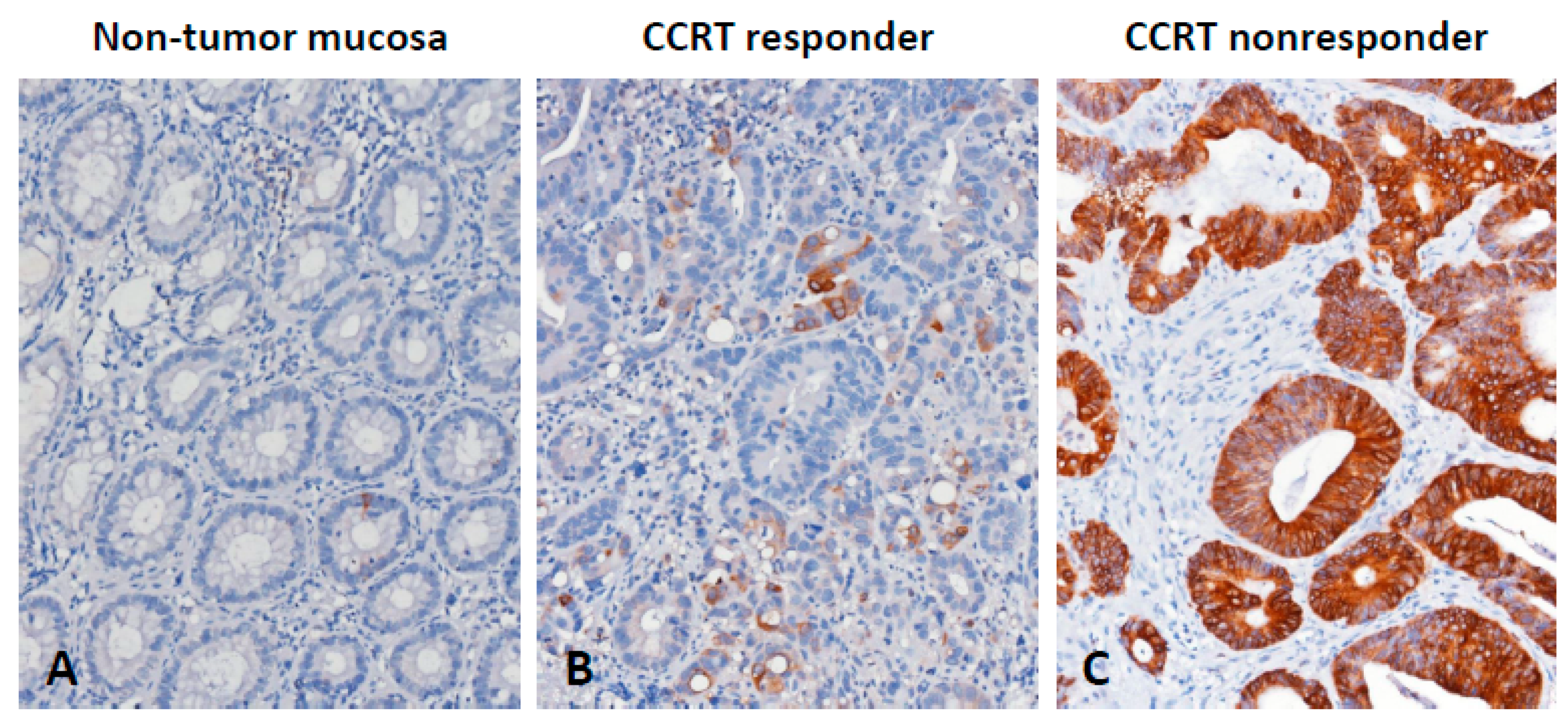 Life 11 00646 g002 550