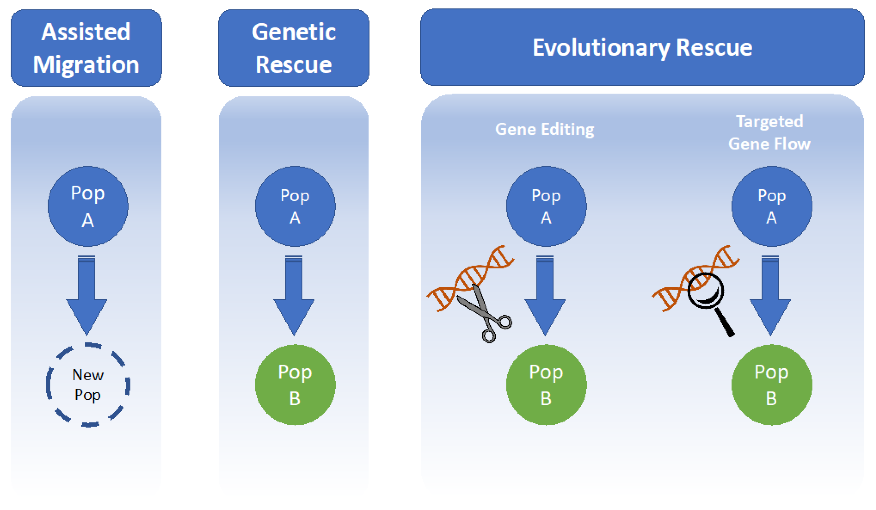 Life 11 00653 g001 Life 11 00653 g001