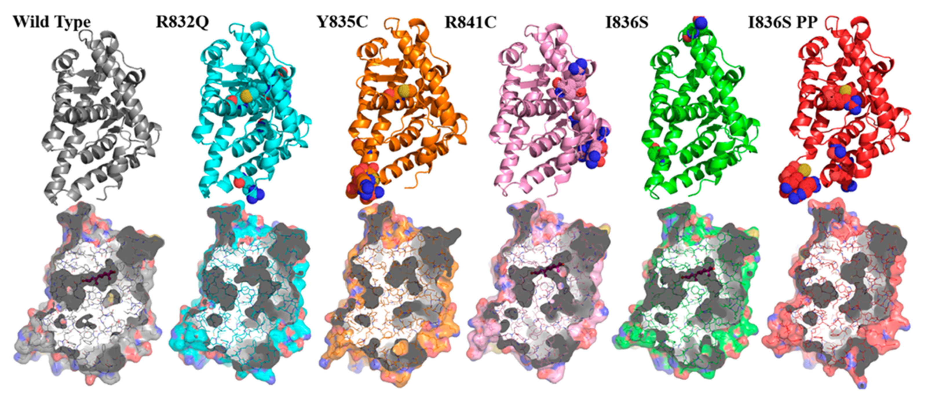 Life 11 00659 g003 Life 11 00659 g003